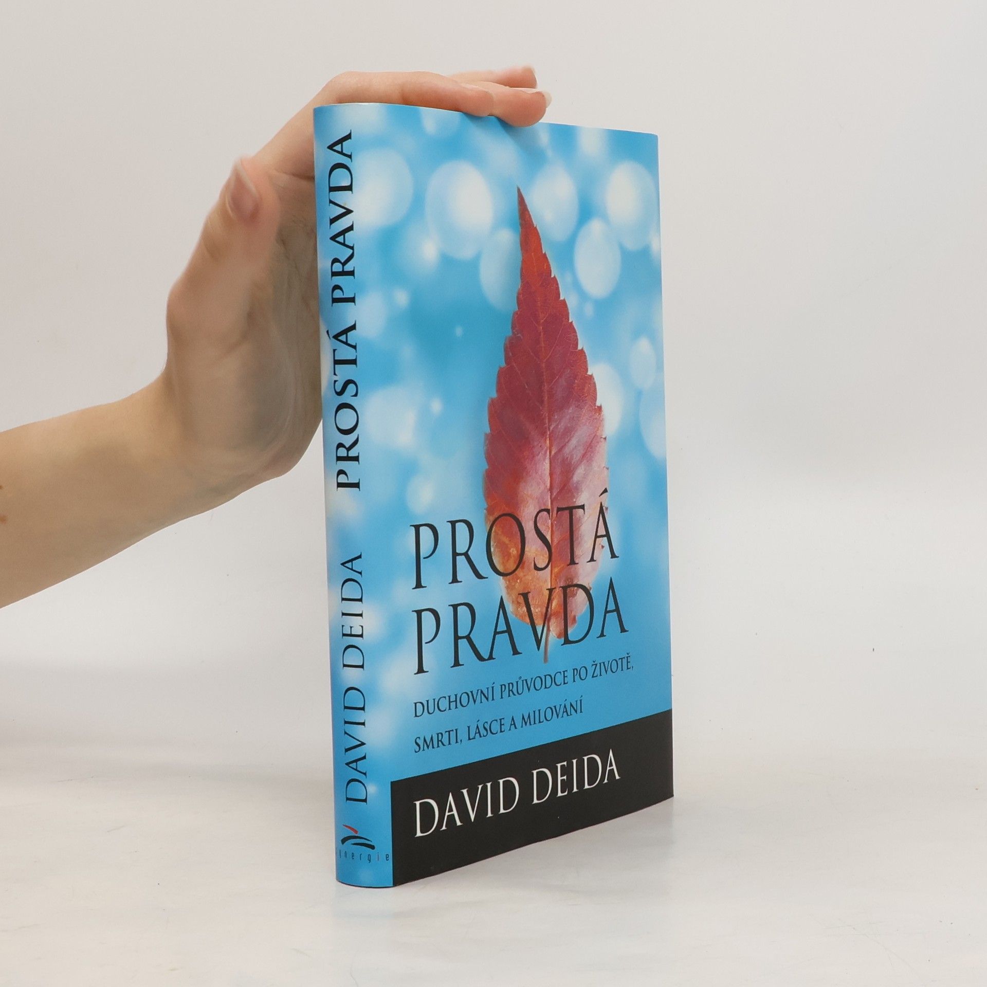 David Deida Prostá pravda