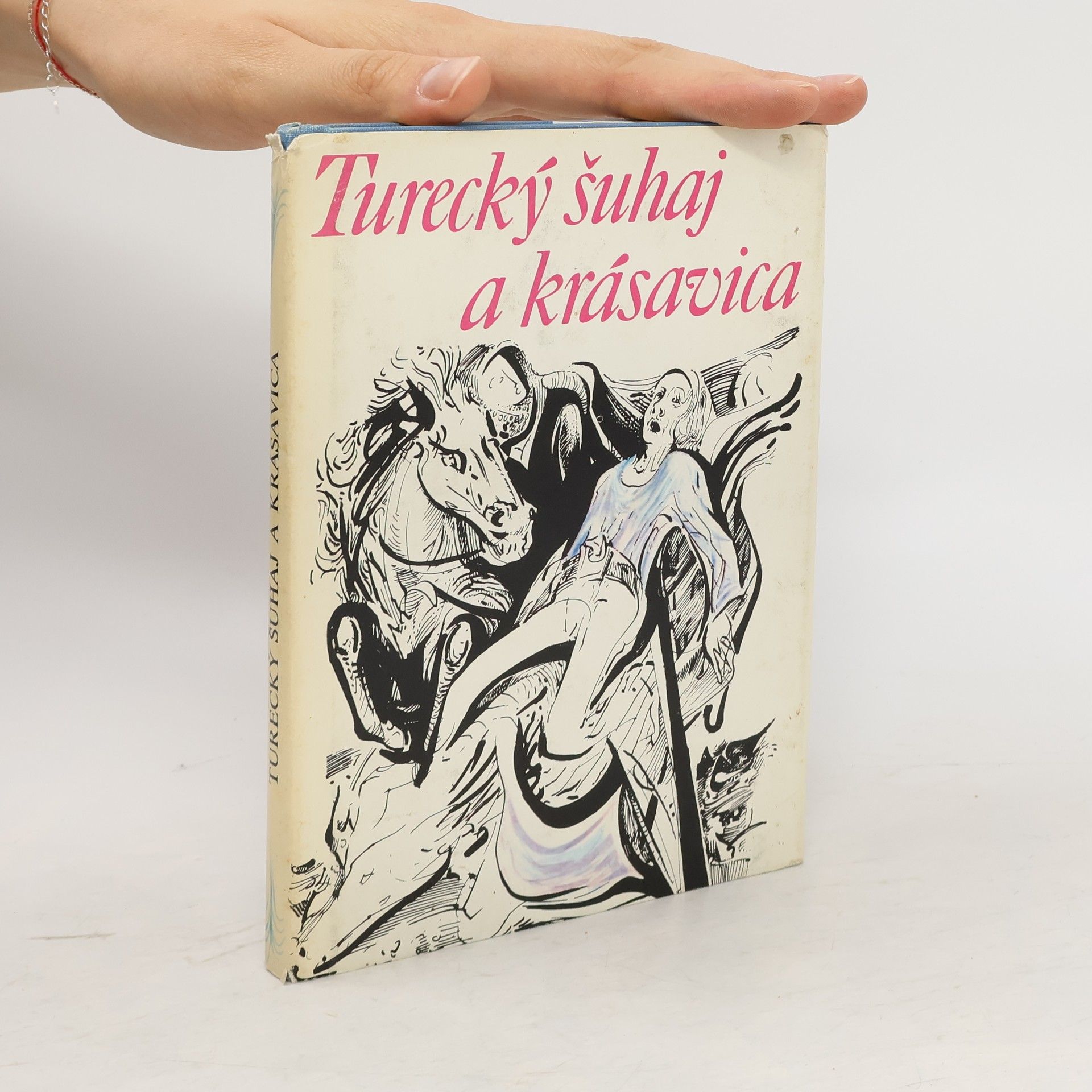 Collectif d'auteurs Turecký šuhaj a krásavica