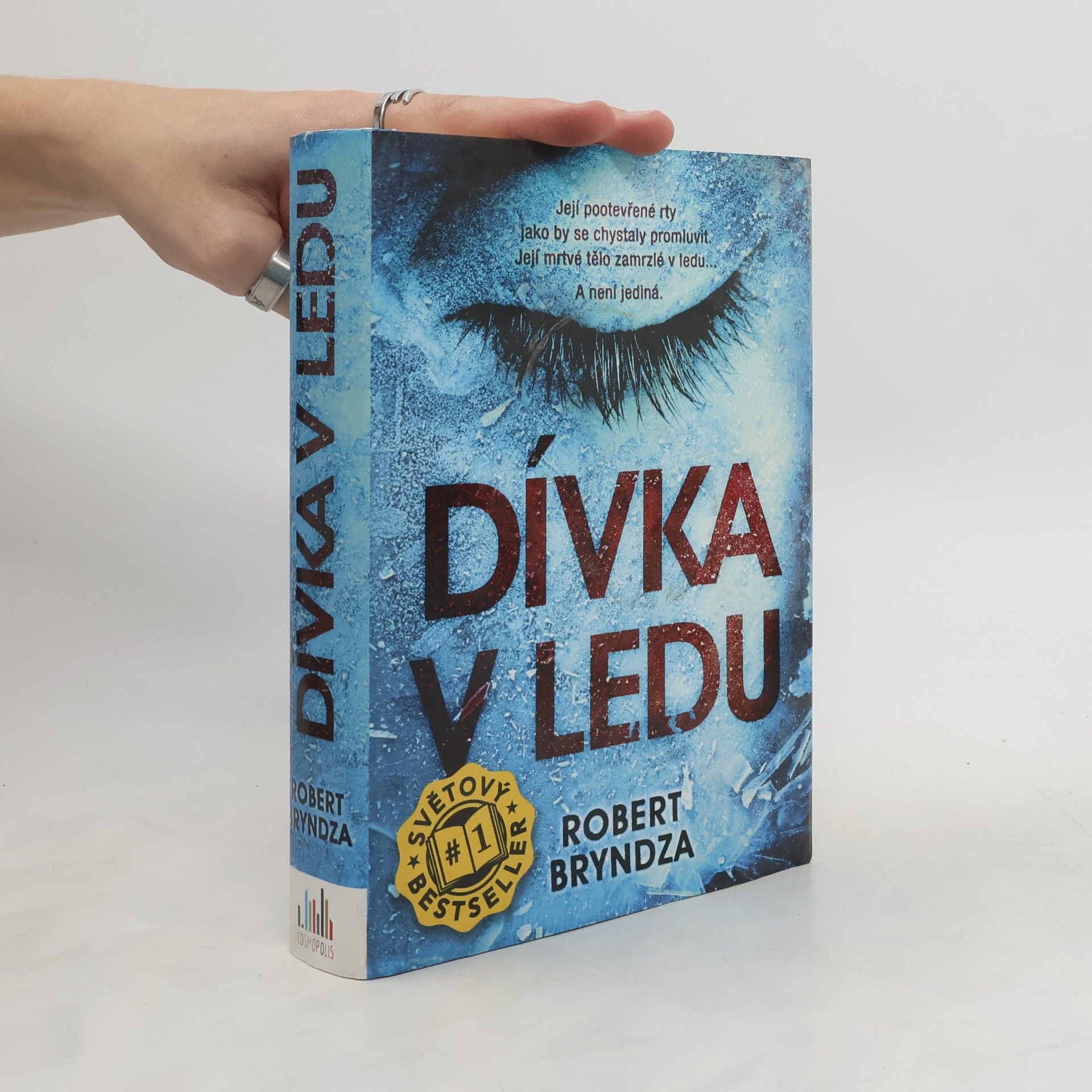 Robert Bryndza Dívka v ledu