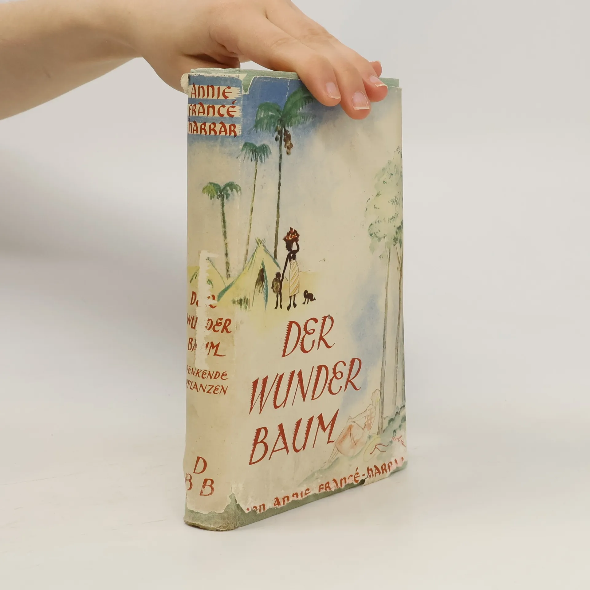 Der wunder baum | Kniha | pevná | kolektiv | DE