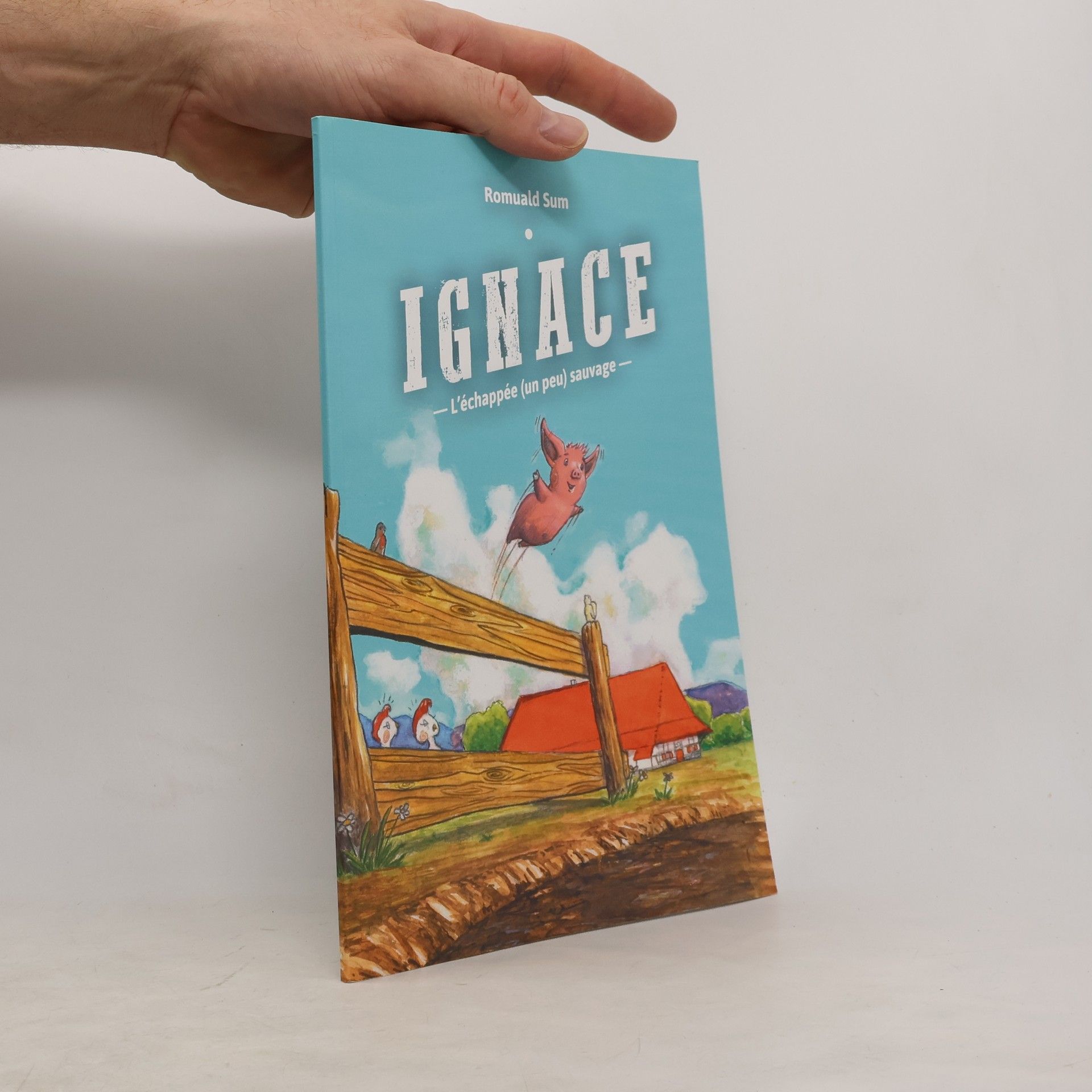 Romuald Sum Ignace