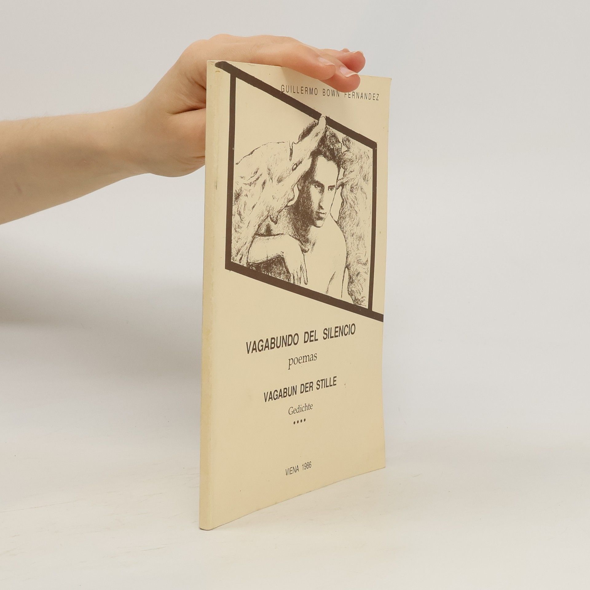 Guillermo Bown Fernández Vagabundo del silencio