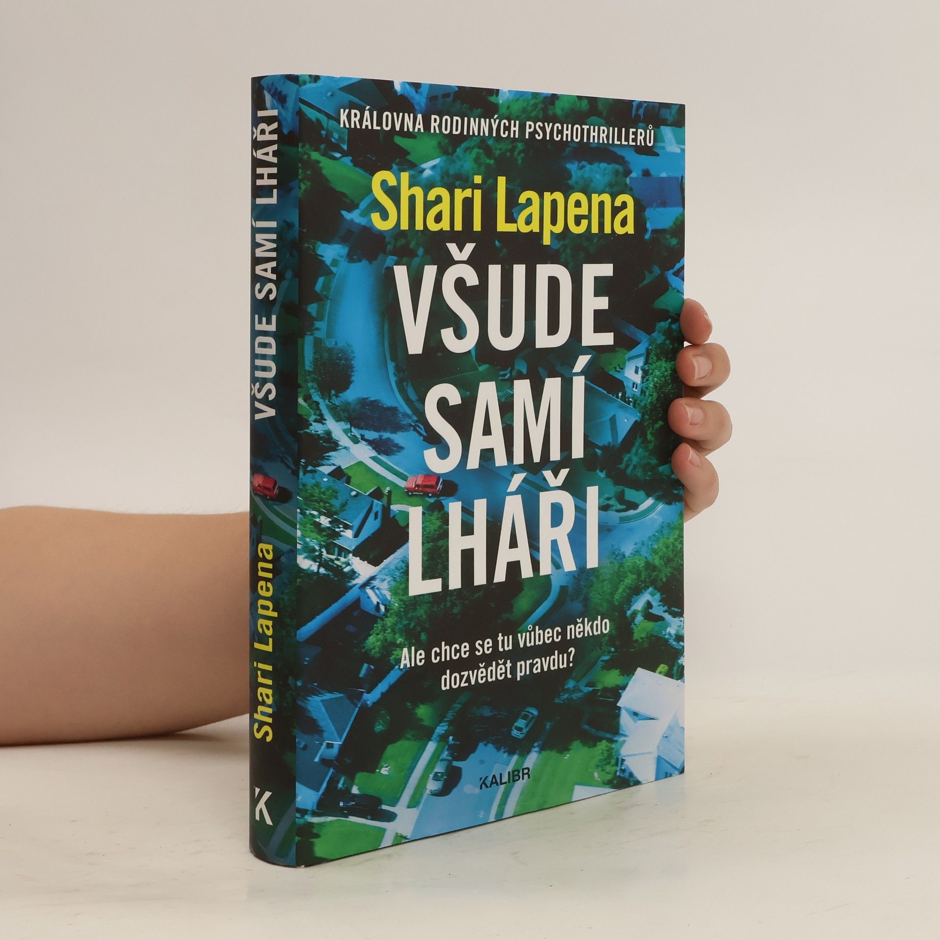 Shari Lapena Všude samí lháři
