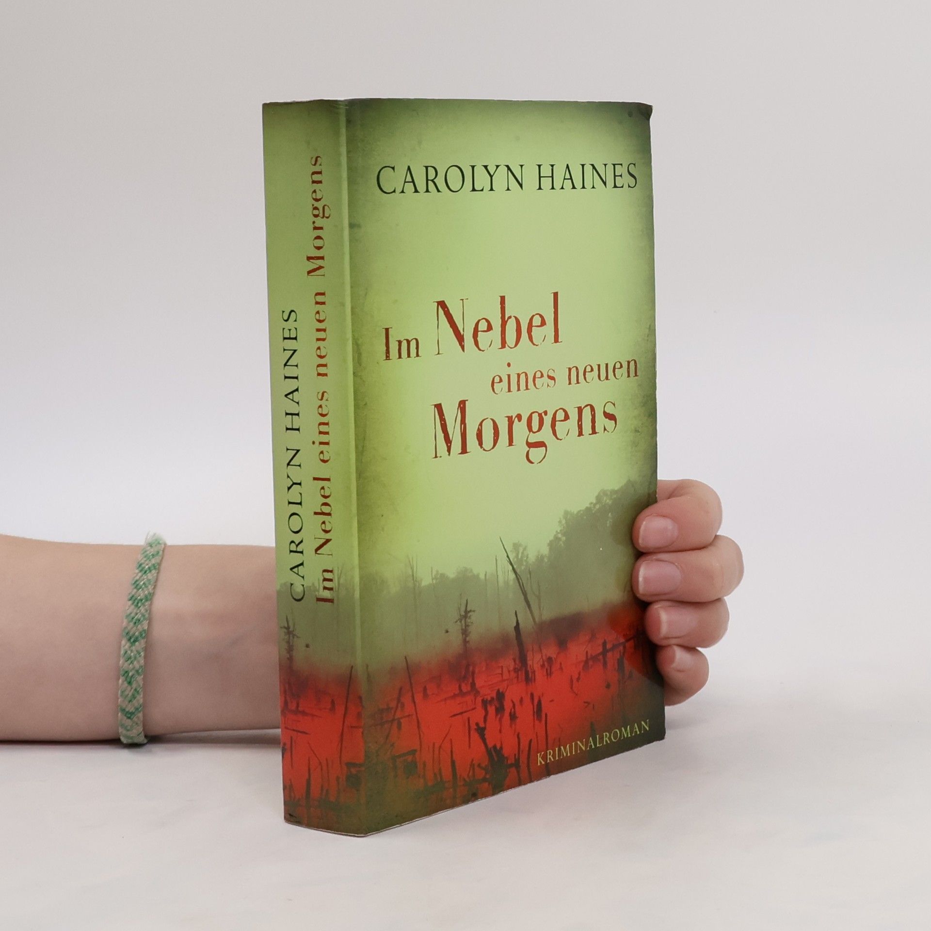 Carolyn Haines Im Nebel eines neuen Morgens