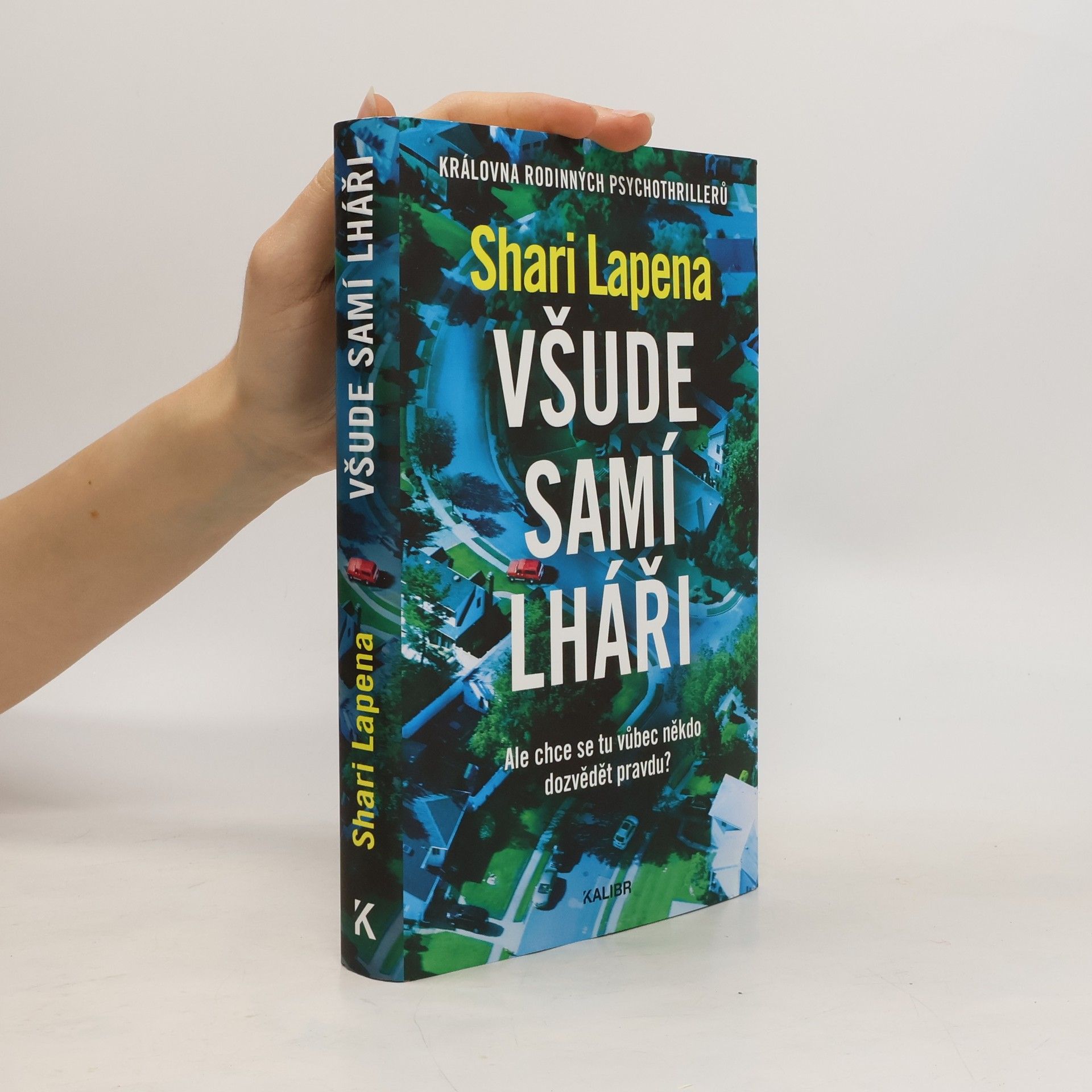 Shari Lapena Všude samí lháři