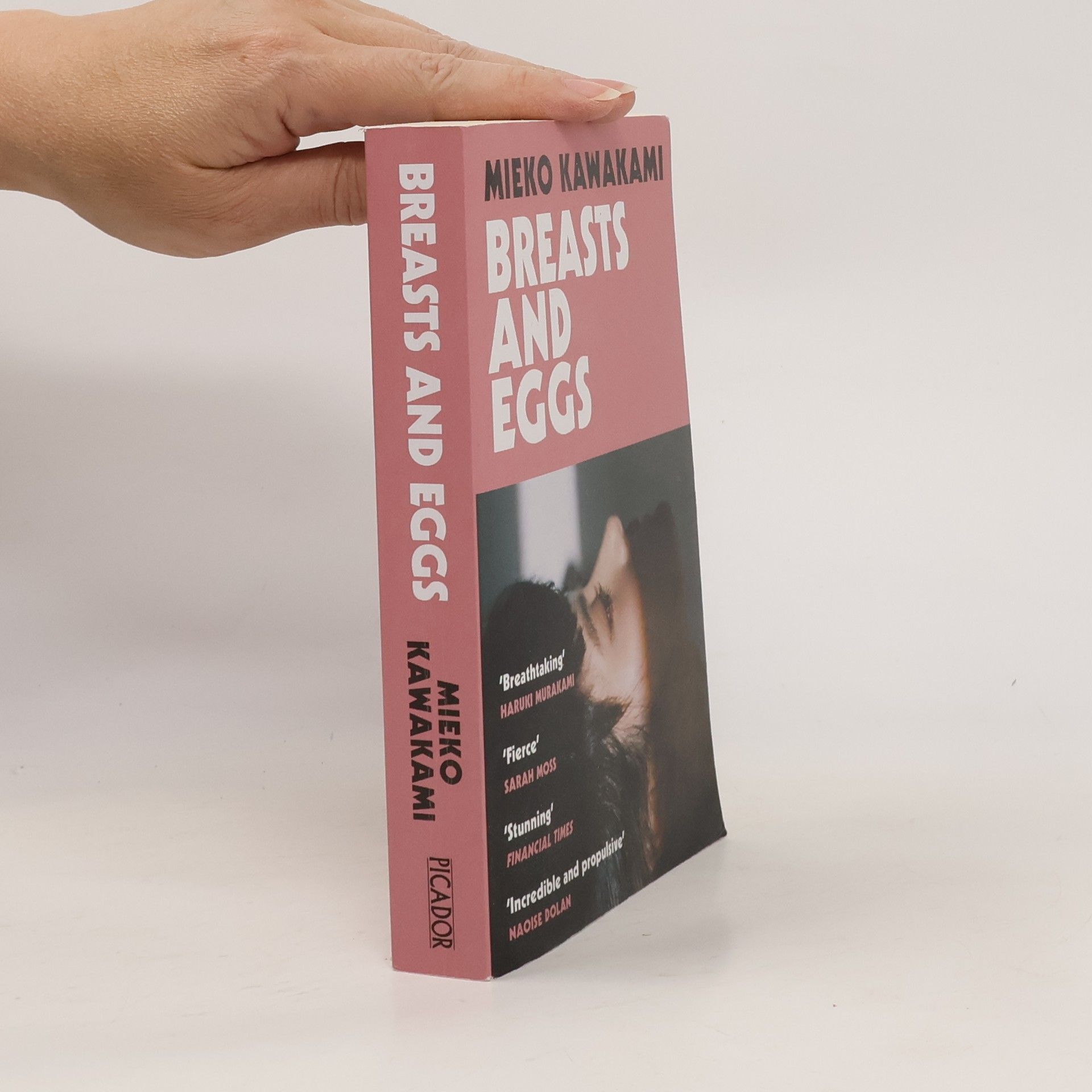 Mieko Kawakami Breasts and Eggs
