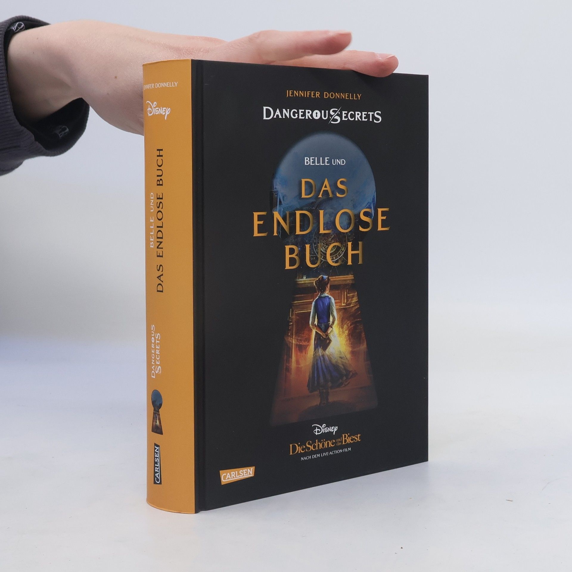 Jennifer Donnelly Das endlose Buch