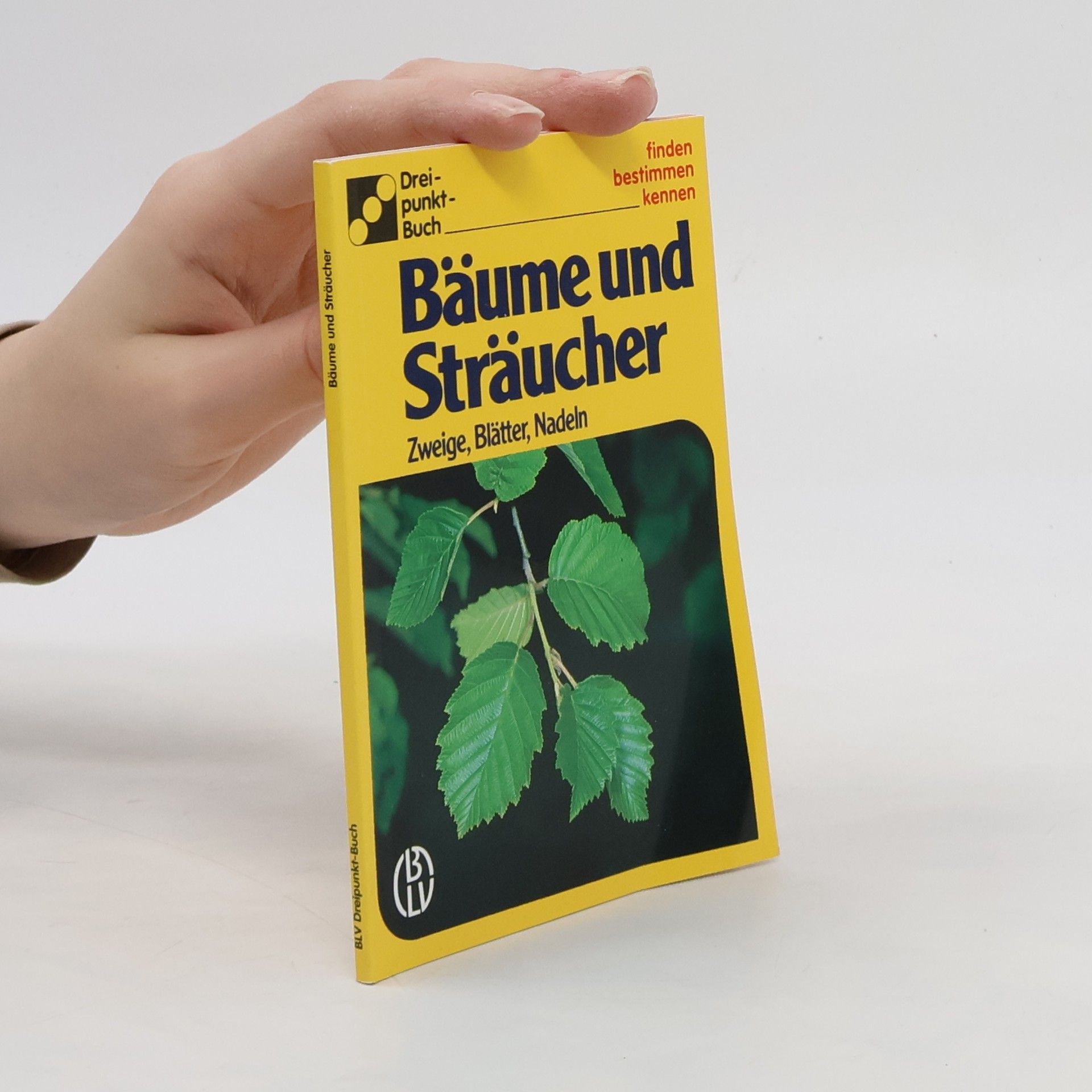 Autorenkollektiv Bäume und Sträucher