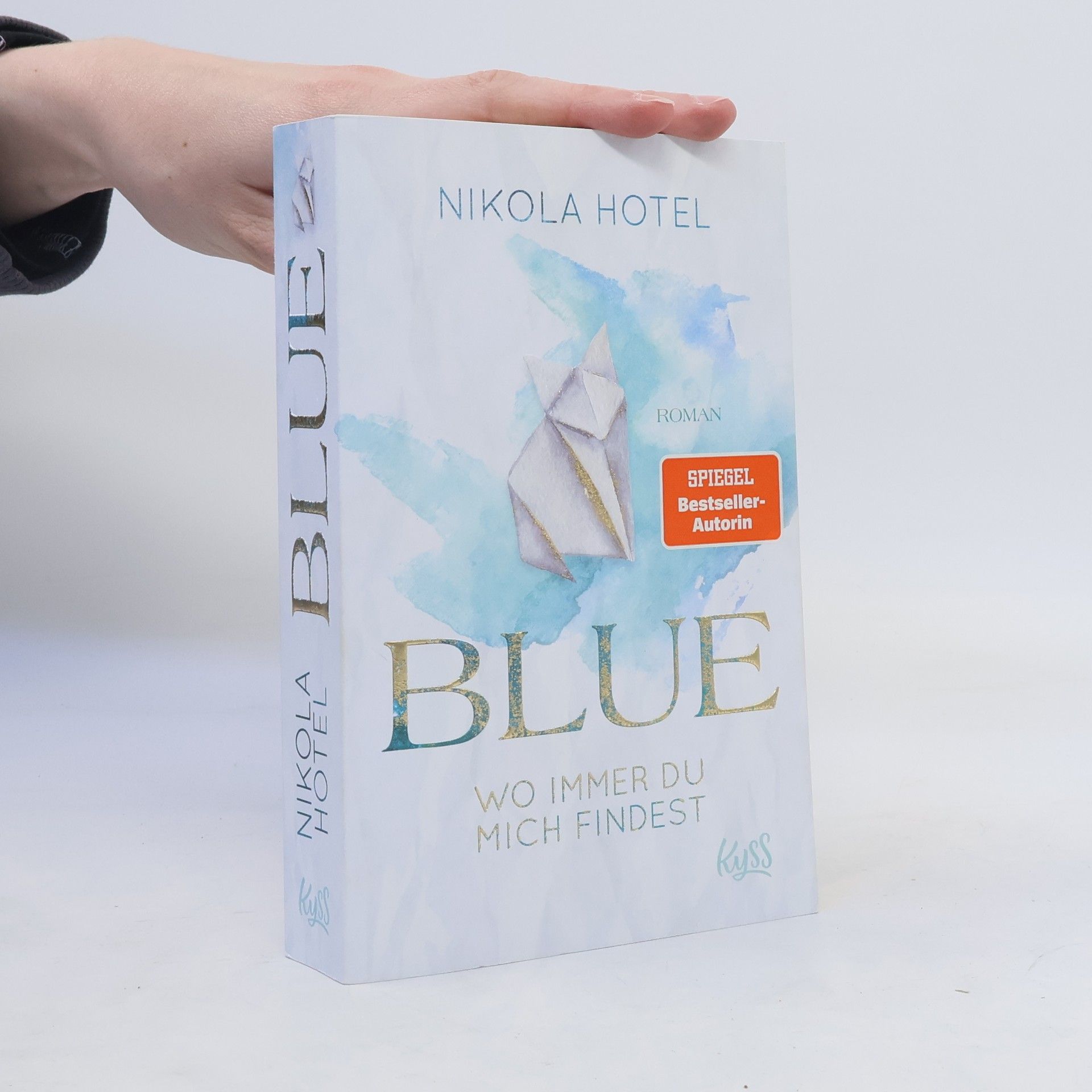 Nikola Hotel Blue. Wo immer du mich findest