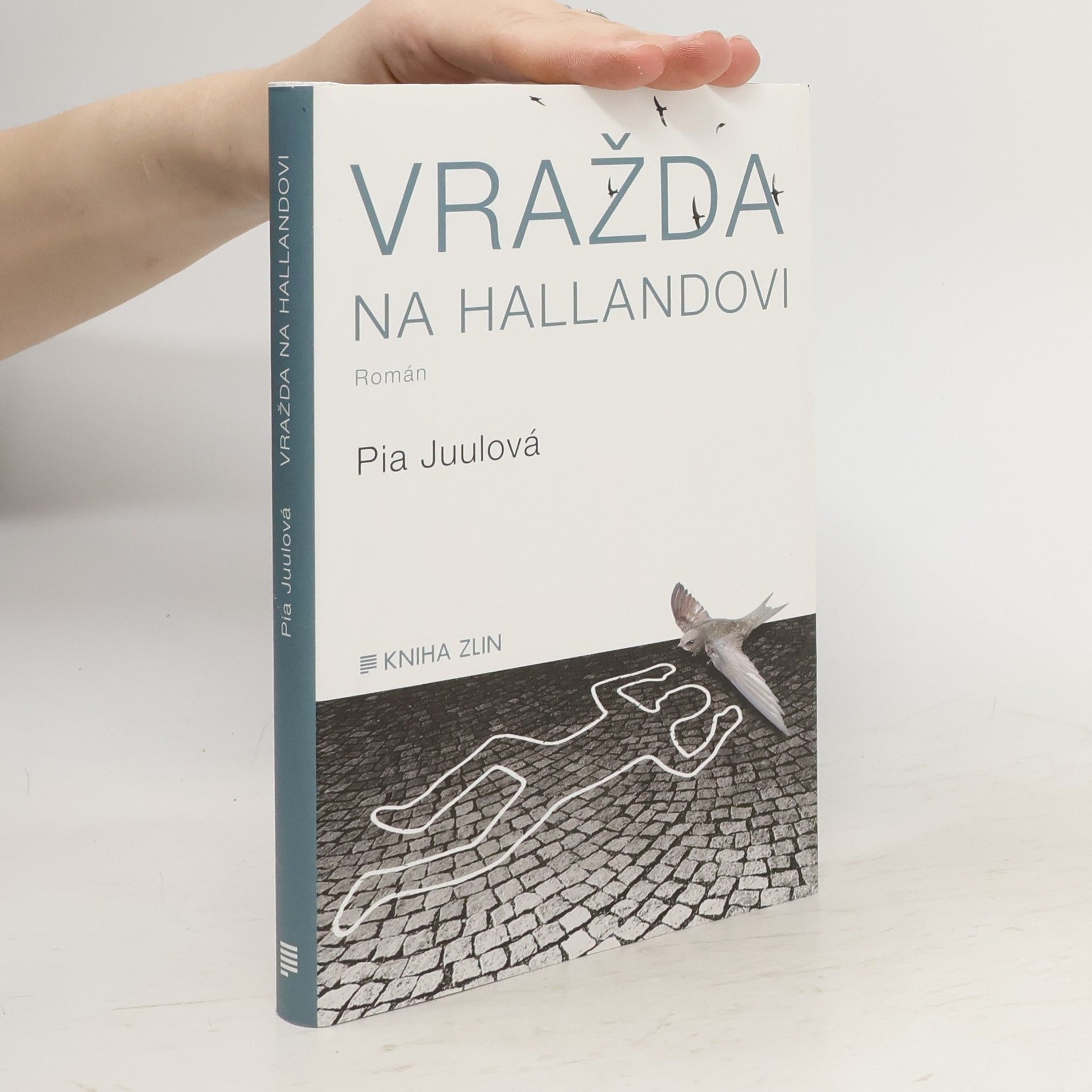 Pia Juul Vražda na Hallandovi