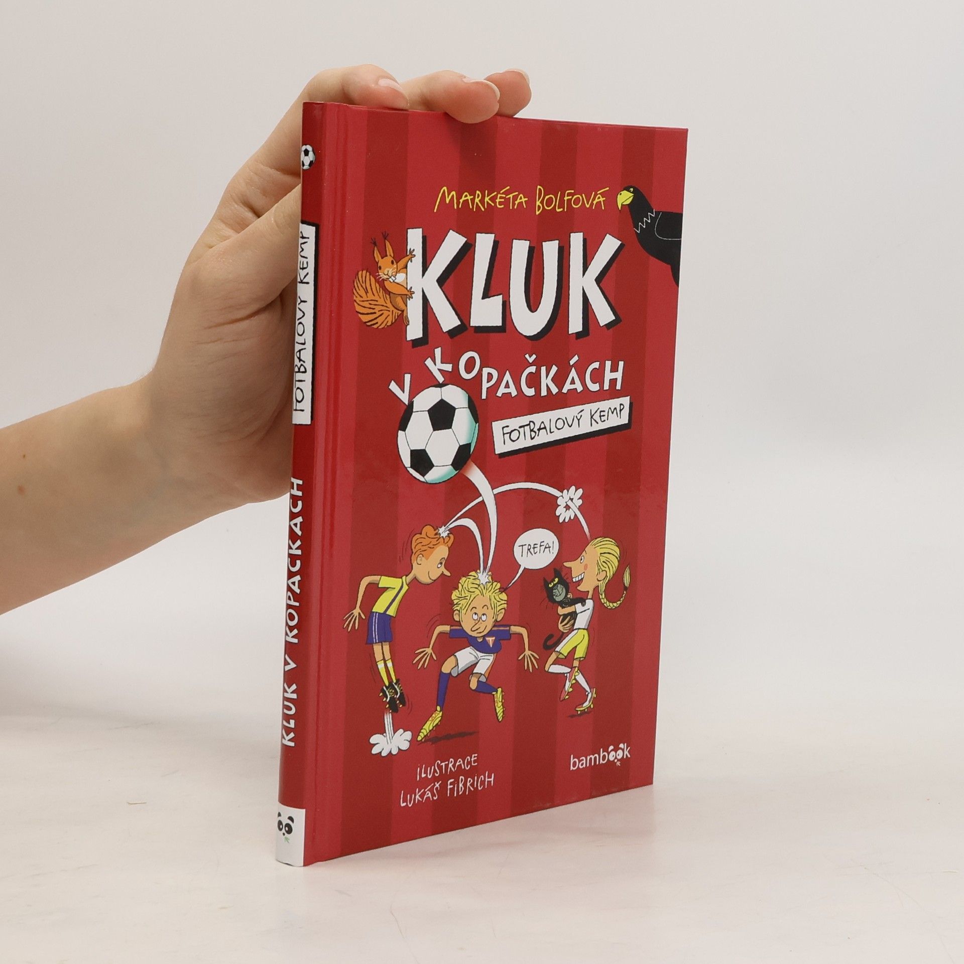 Lubomír Šebesta Kluk v kopačkách – Fotbalový kemp