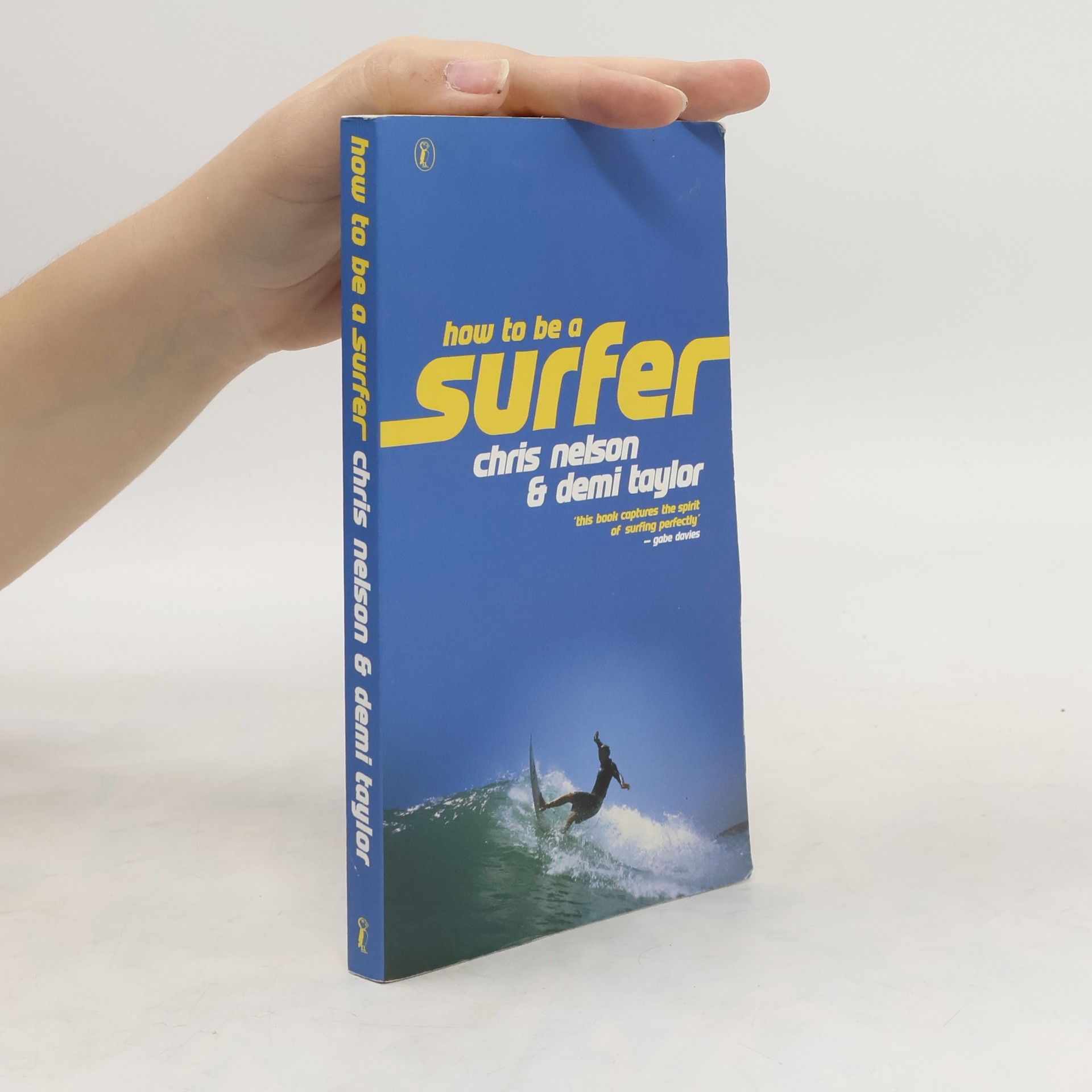Chris Nelson How to Be a Surfer