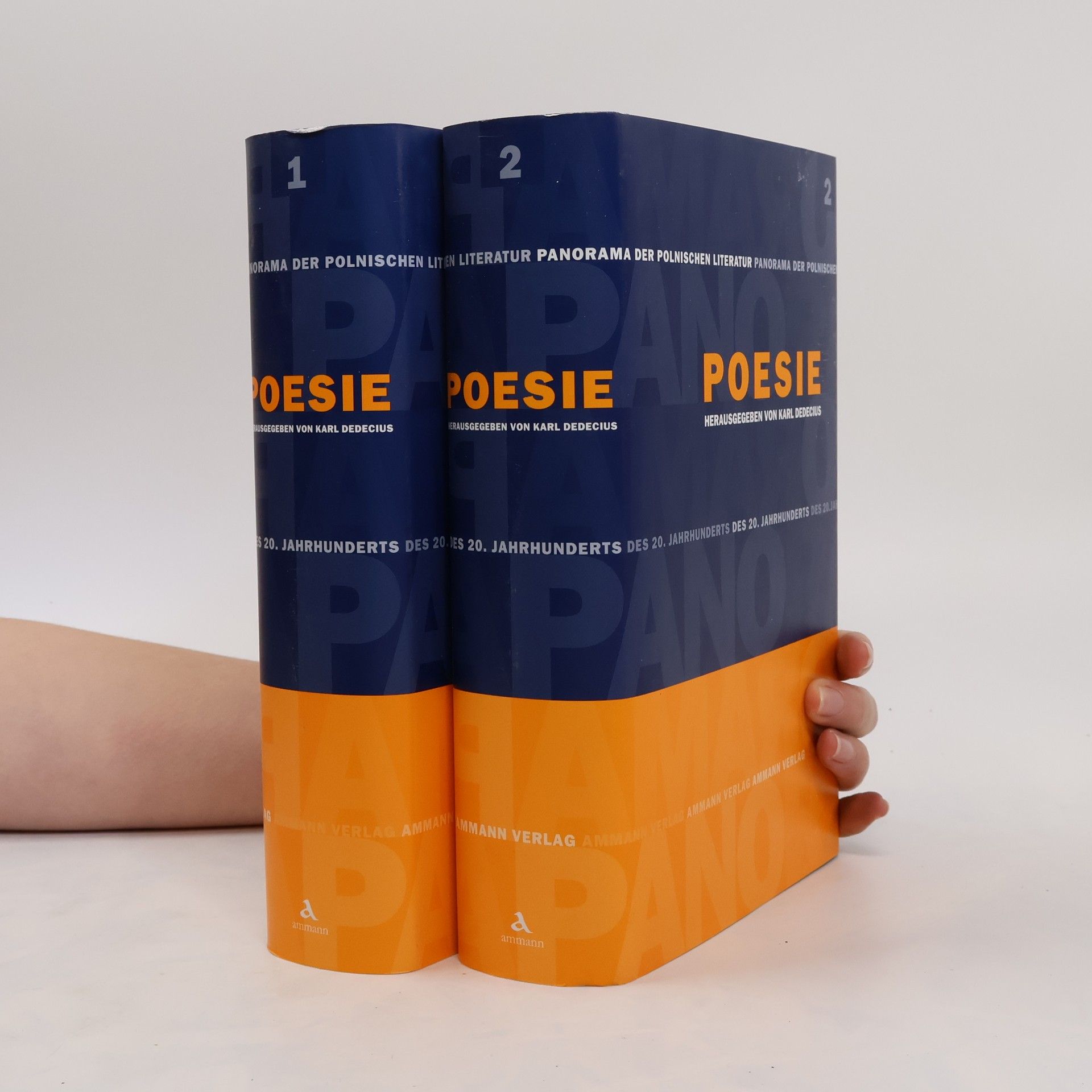 kolektiv Panorama der polnischen Literatur des 20. Jahrhunderts. Poesie