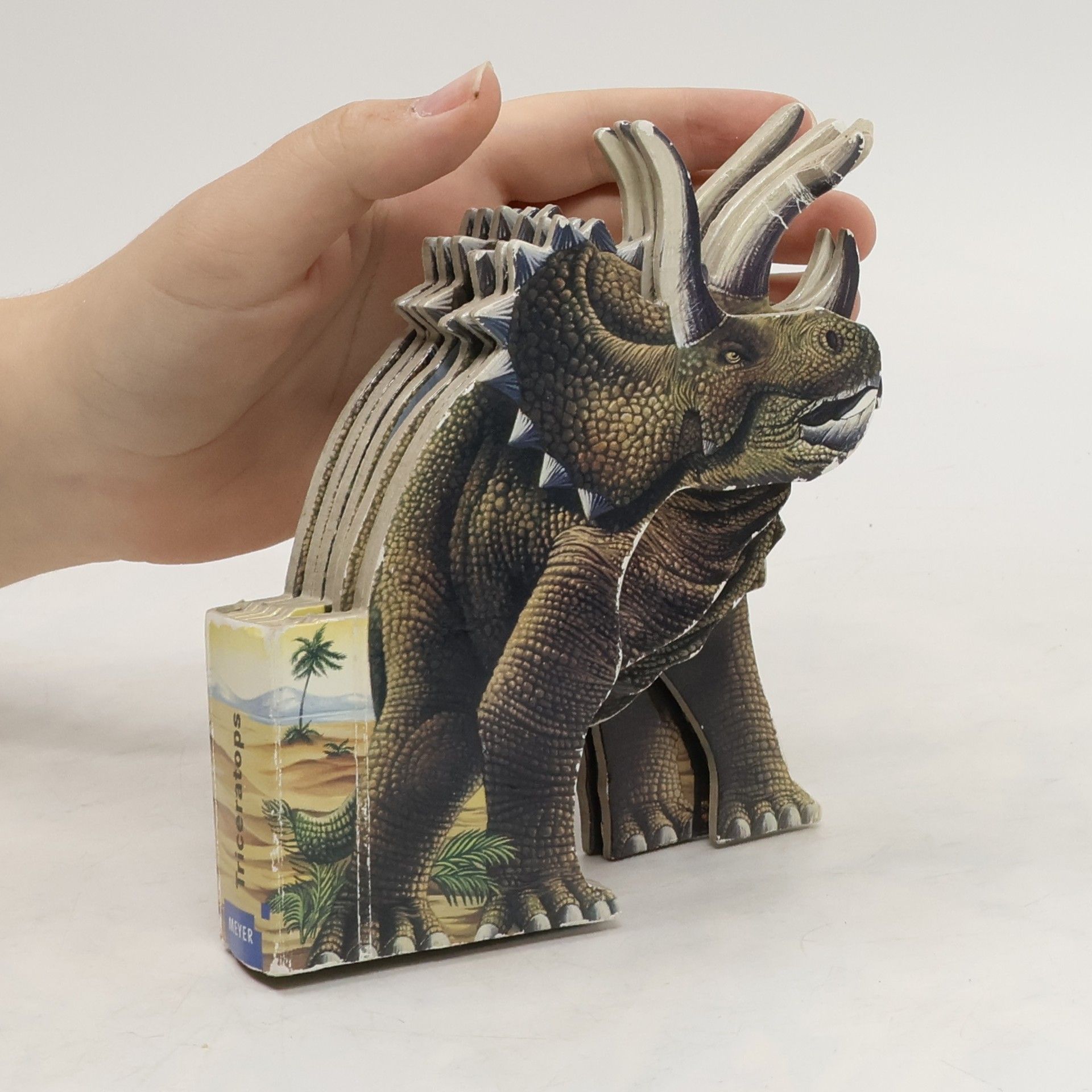 Annapaola Del Nevo Triceratops