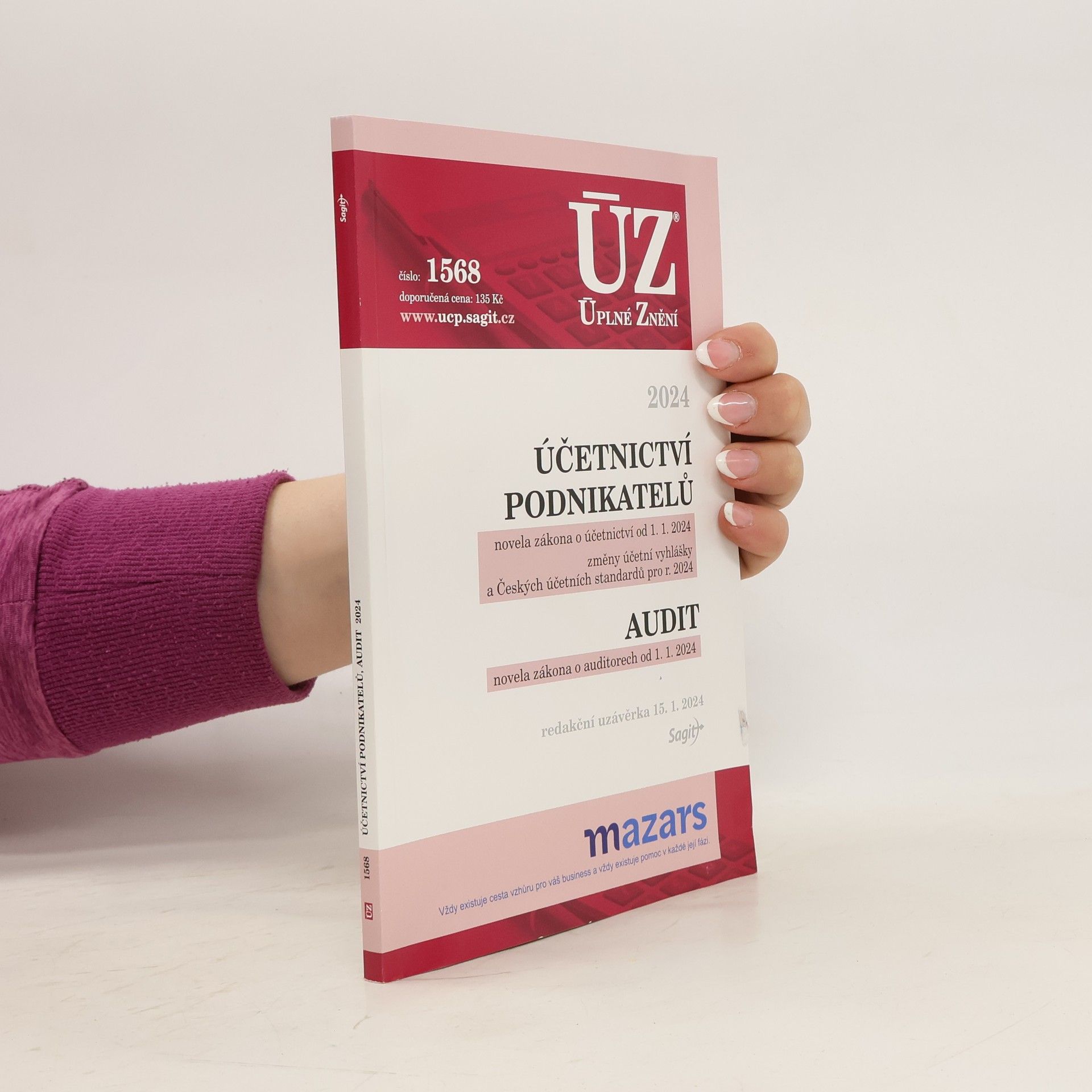 Autorenkollektiv Účetnictví podnikatelů