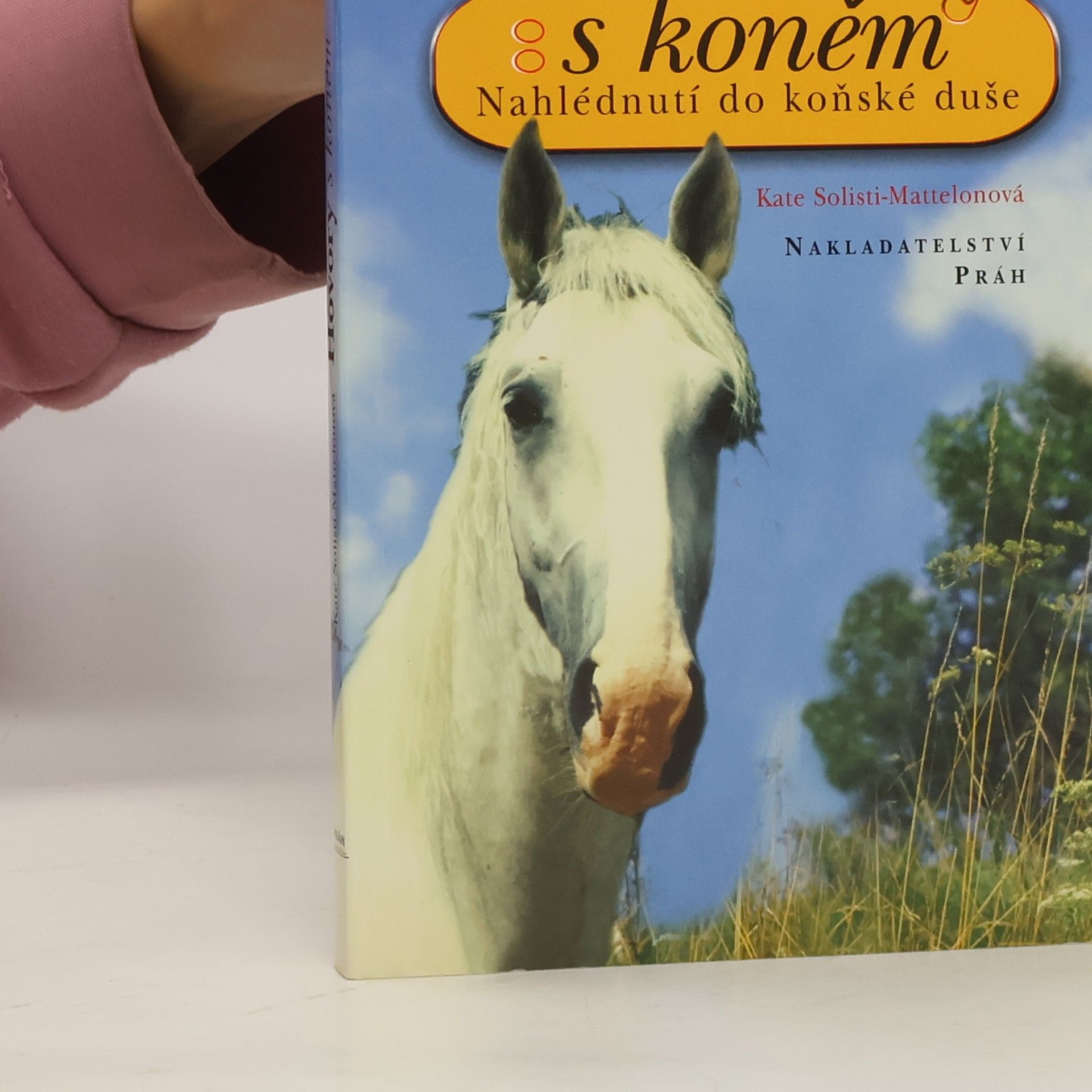 Kate Solisti Mattelon Hovory s koněm