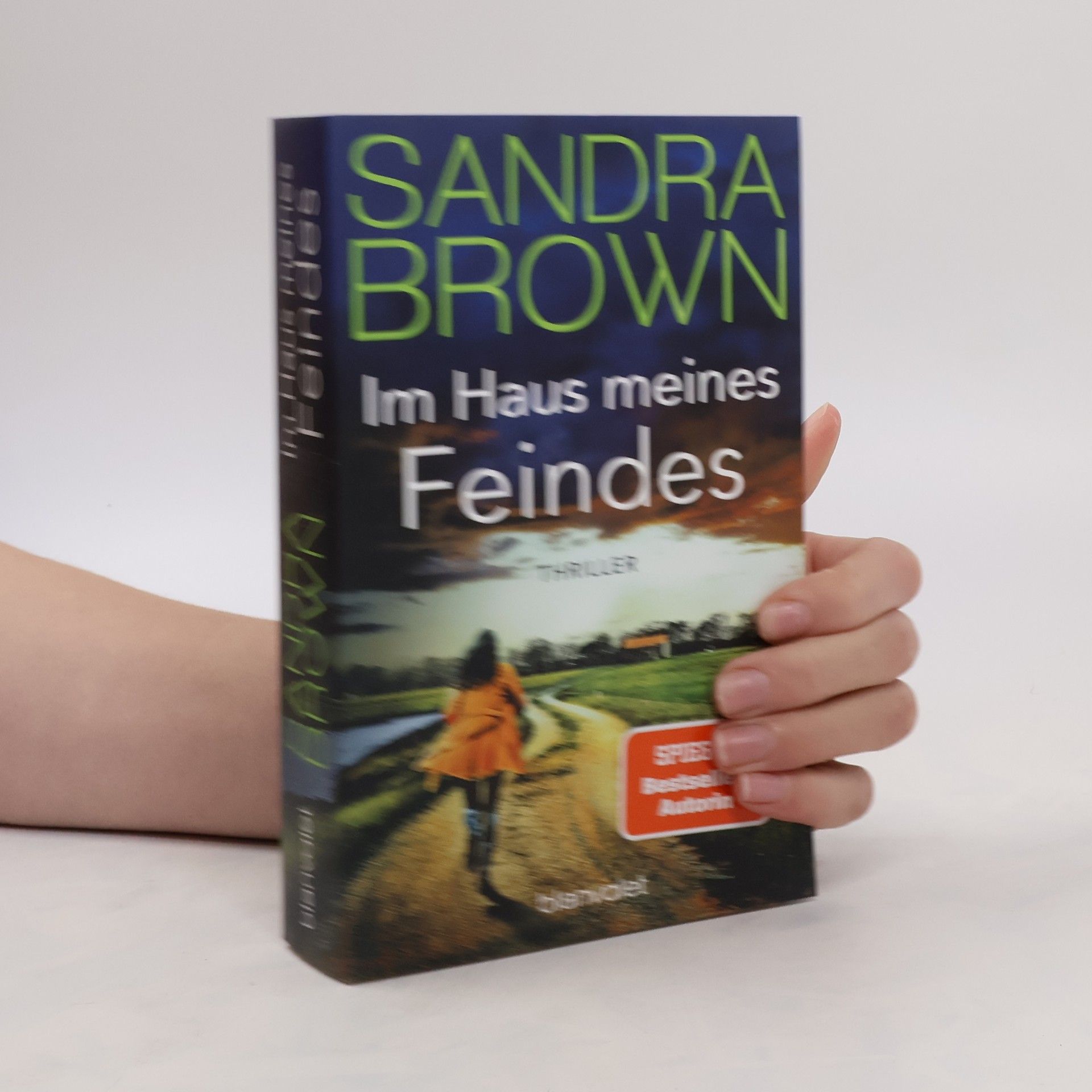Sandra Brown Im Haus meines Feindes