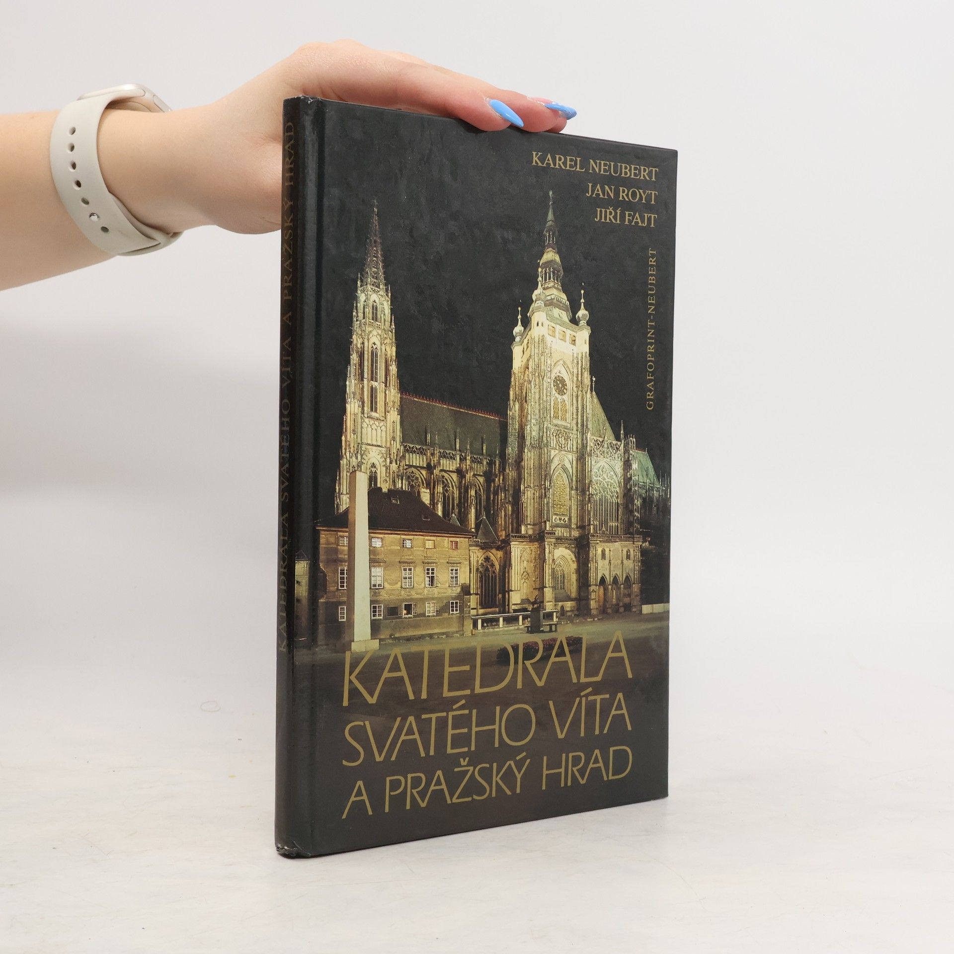 Jan Royt Katedrála svatého Víta a Pražský hrad