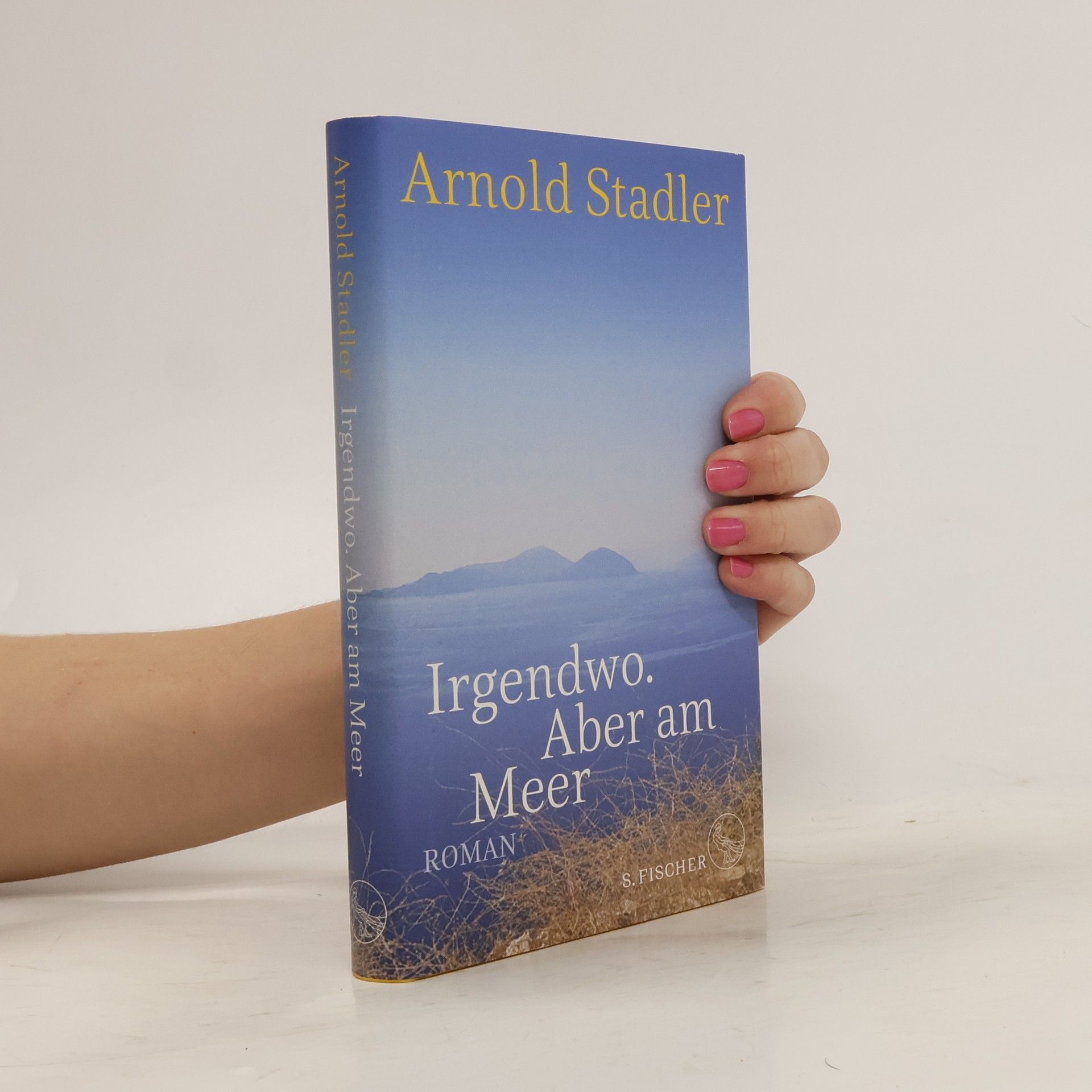 Arnold Stadler Irgendwo,  aber am Meer