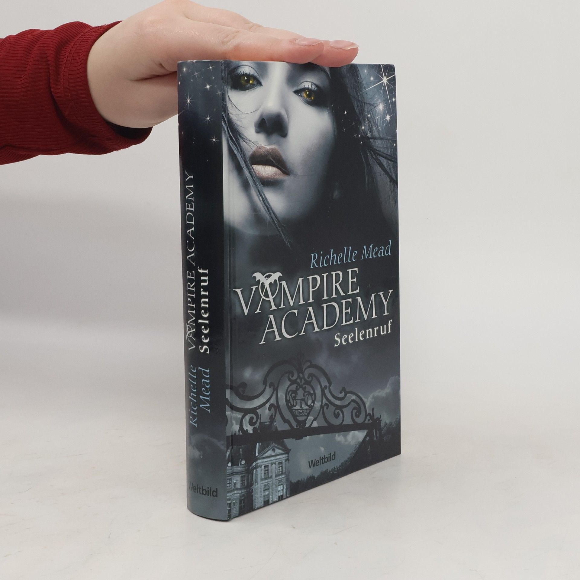 Richelle Mead Vampire Academy - Seelenruf