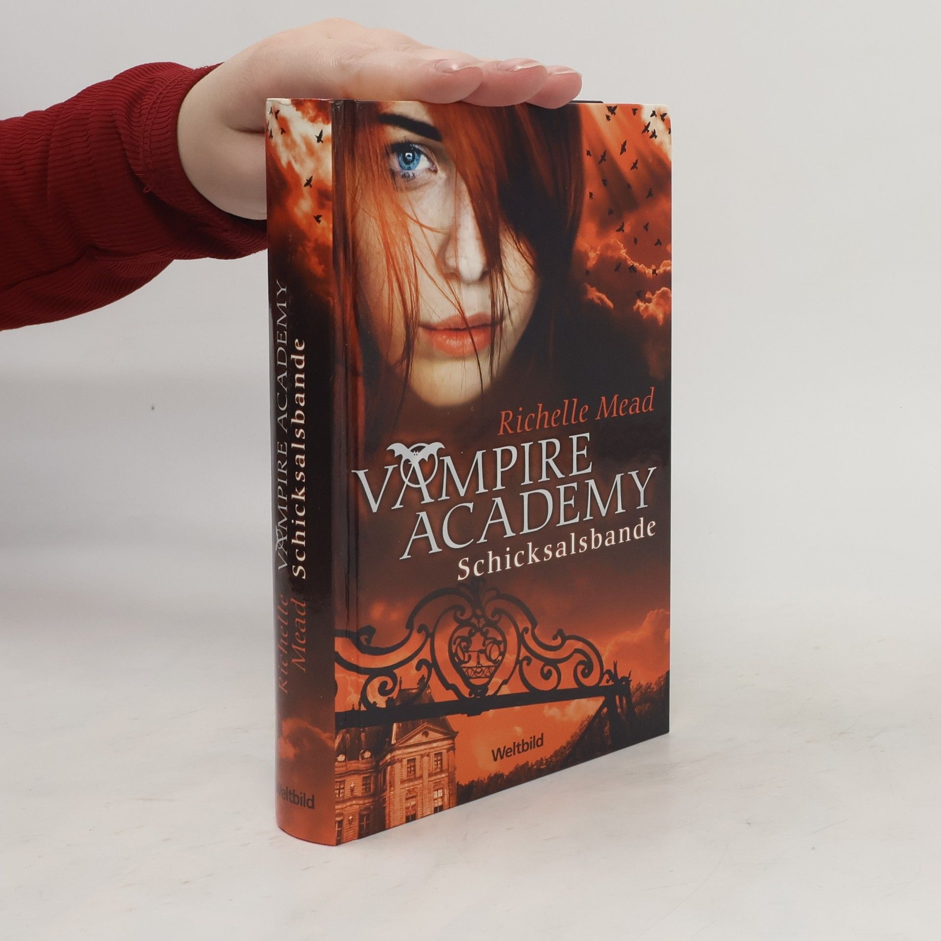 Richelle Mead Vampire Academy. Schicksalsbande
