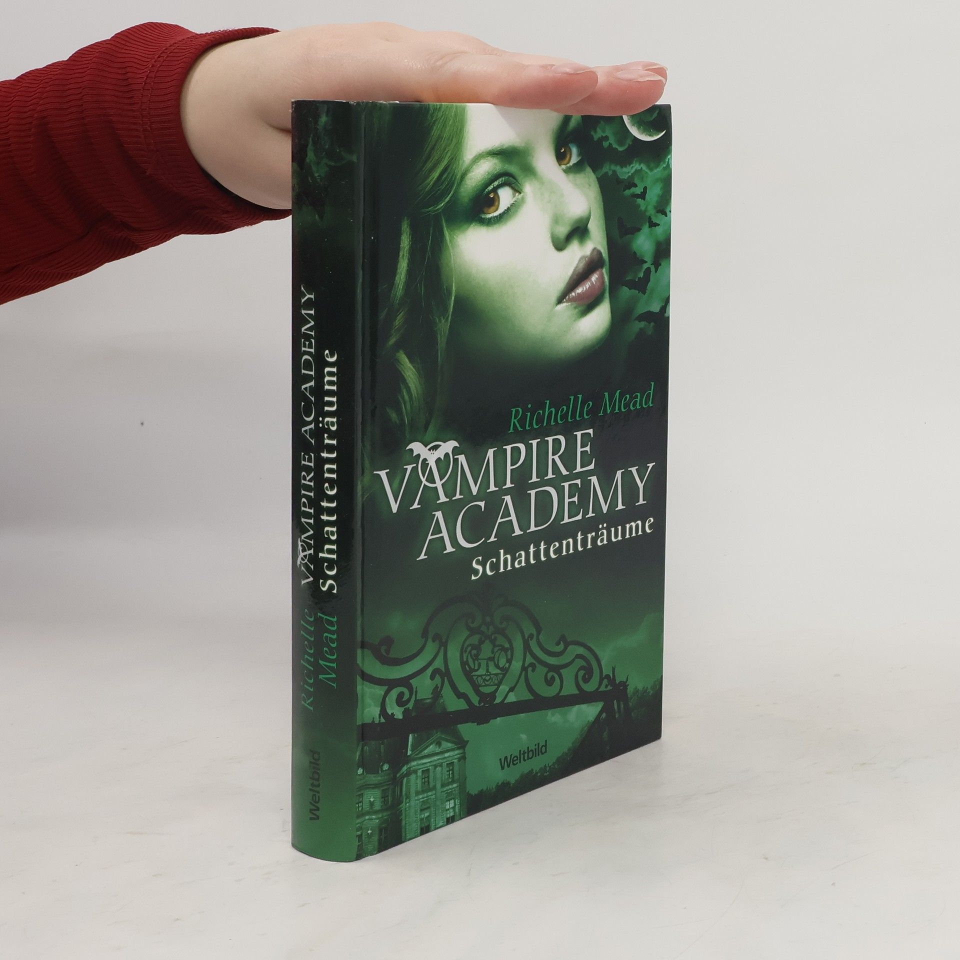 Richelle Mead Vampire Academy. Schattenträume