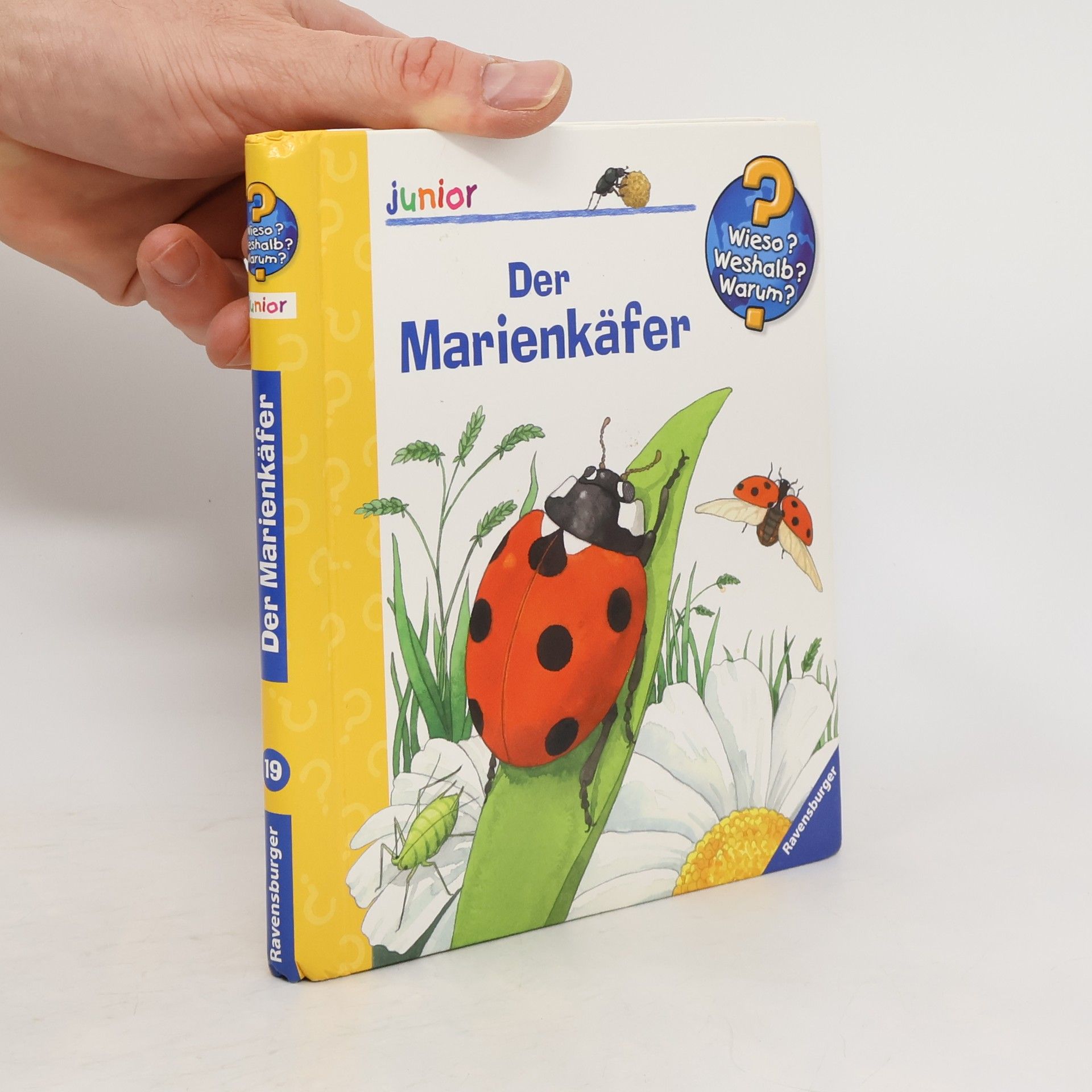 Anne Ebert Der Marienkäfer
