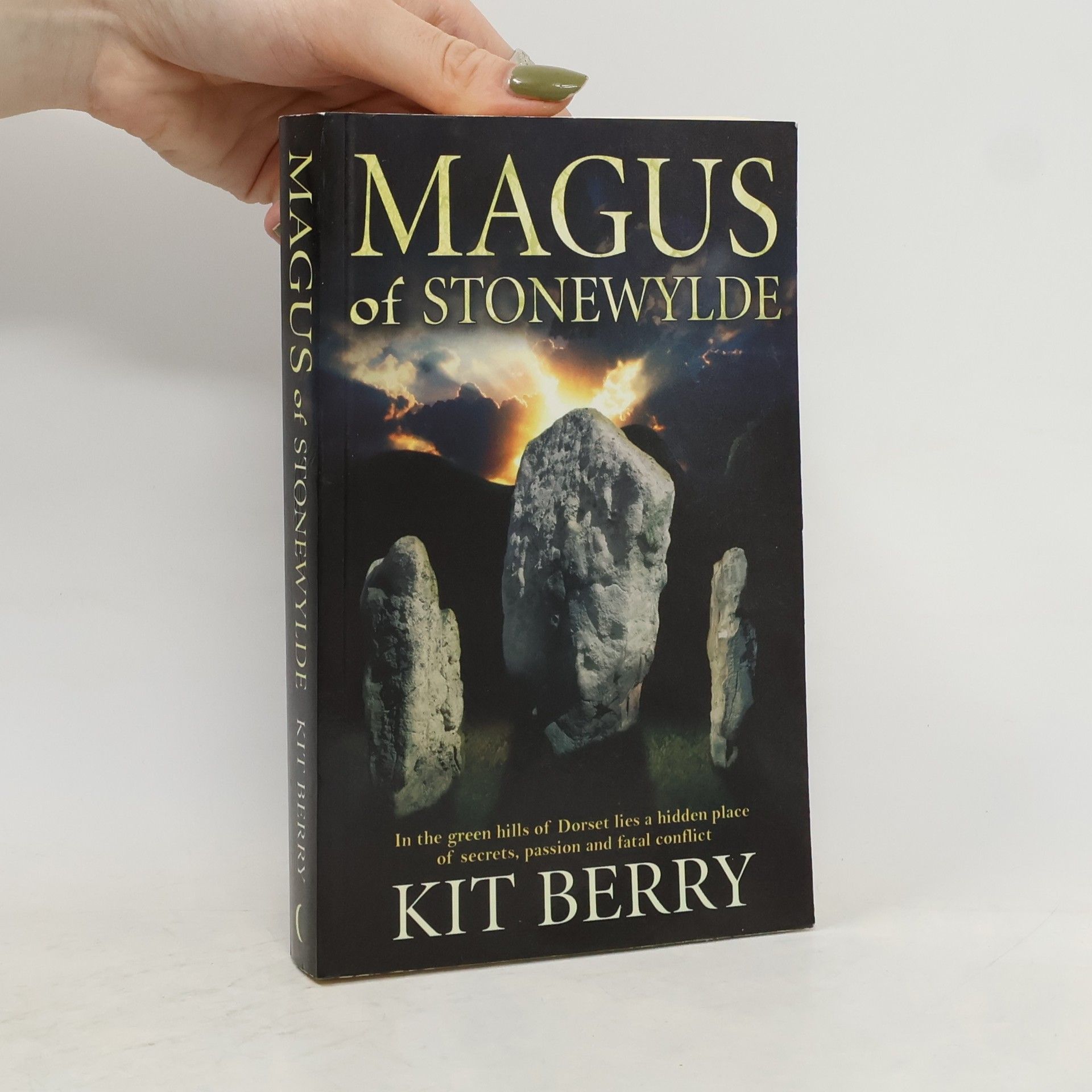 Kit Berry Magus of Stonewylde