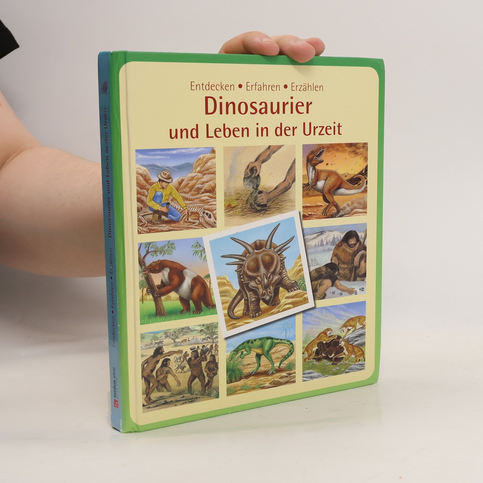 Autorenkollektiv Dinosaurier und Leben in der Urzeit