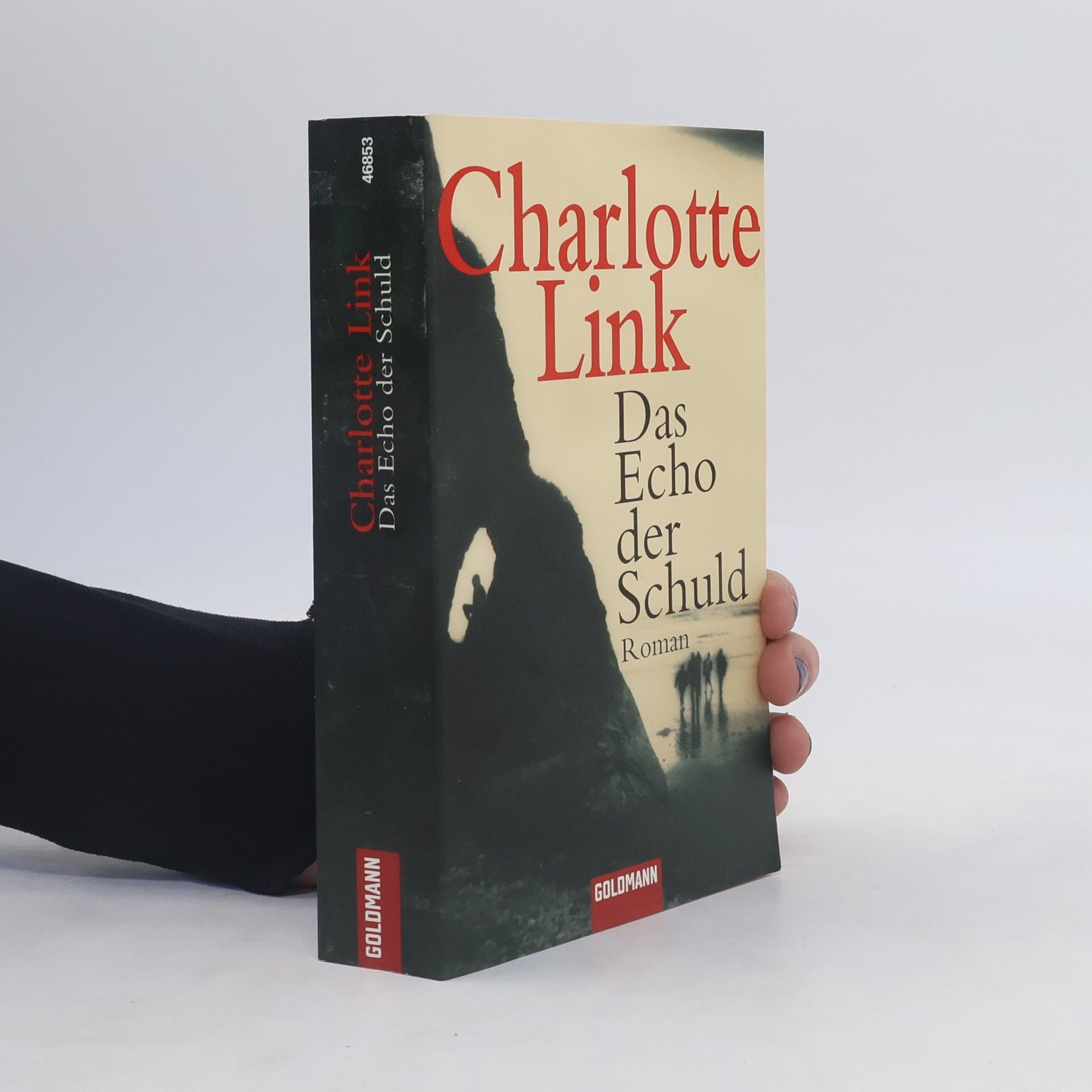 Charlotte Link Das Echo der Schuld