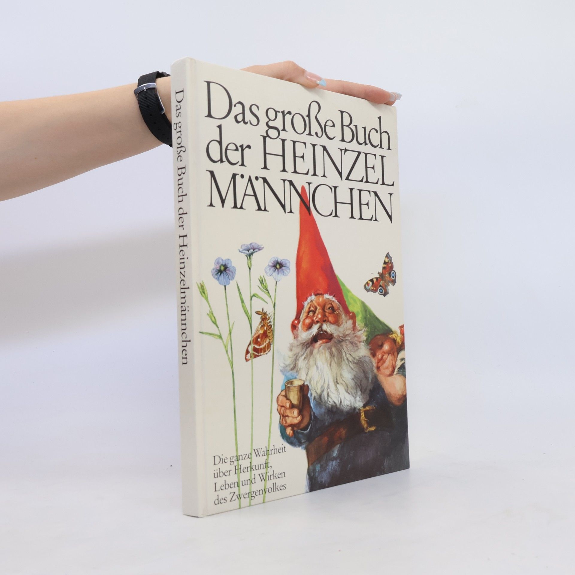 Autorenkollektiv Das große Buch der Heinzelmännchen