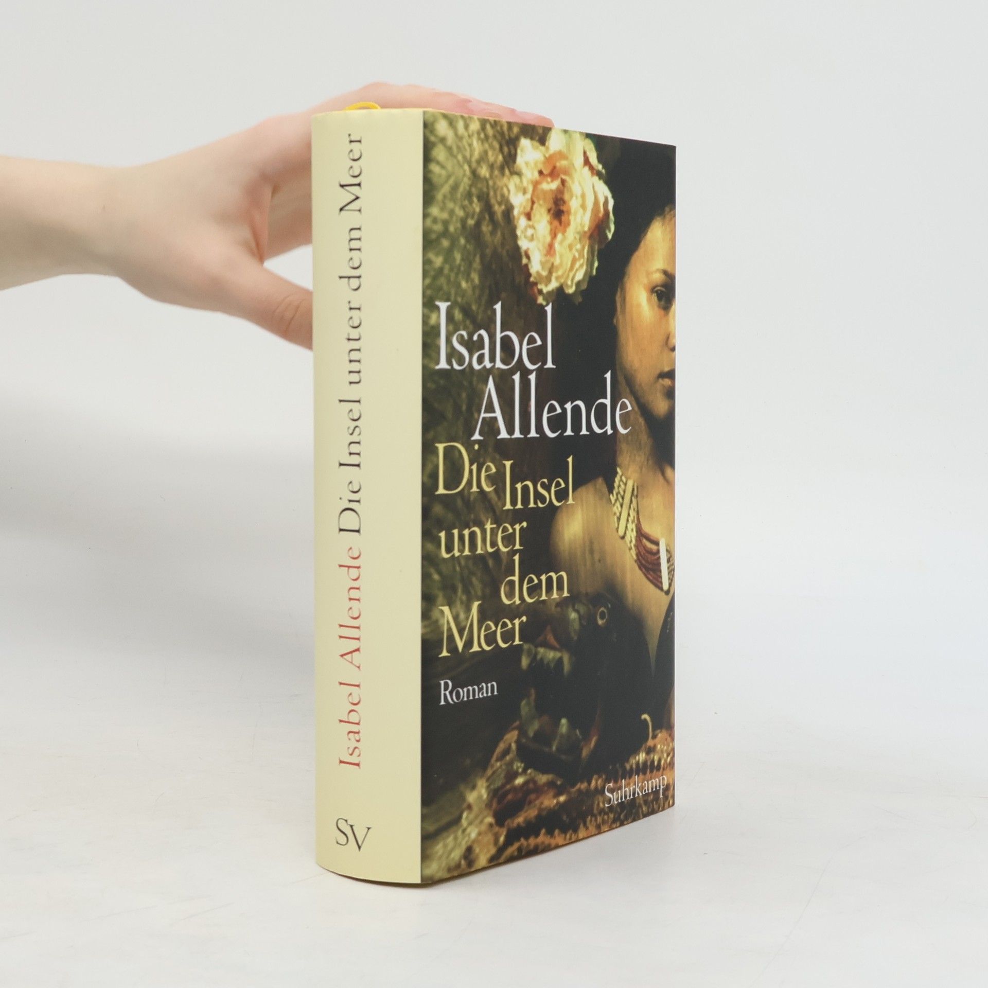 Isabel Allende Llona Die Insel unter dem Meer
