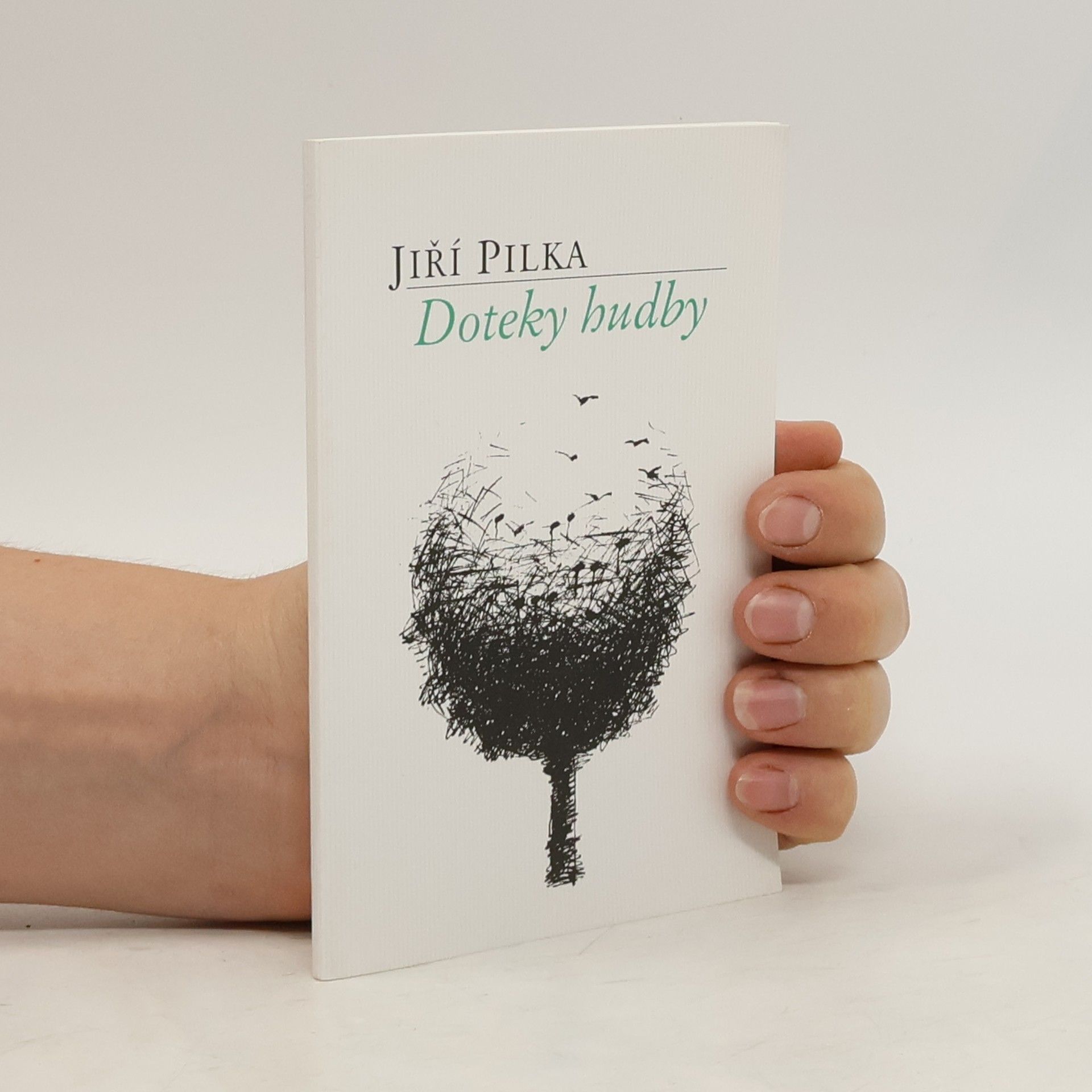 Jiří Pilka Doteky hudby