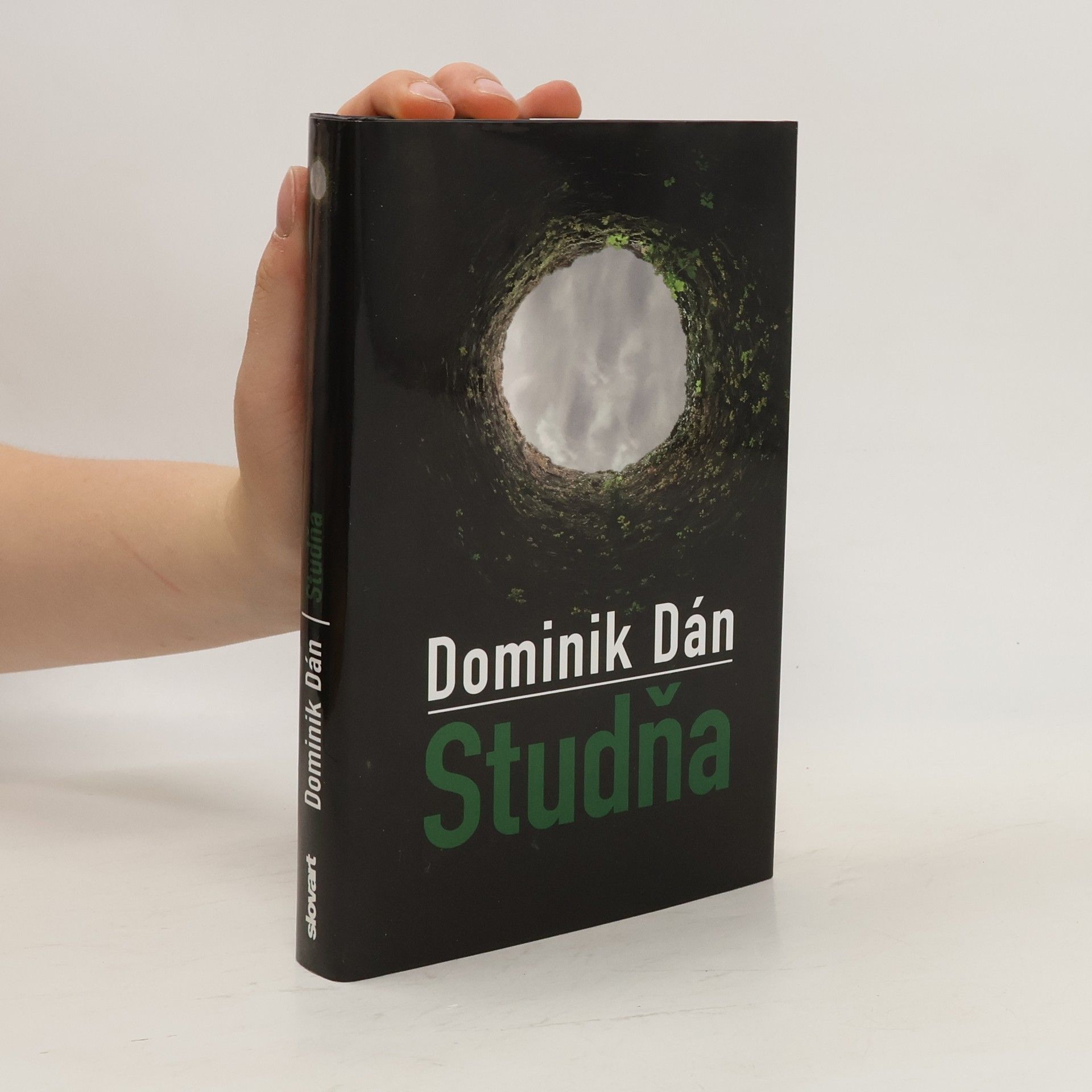Dominik Dán Studňa