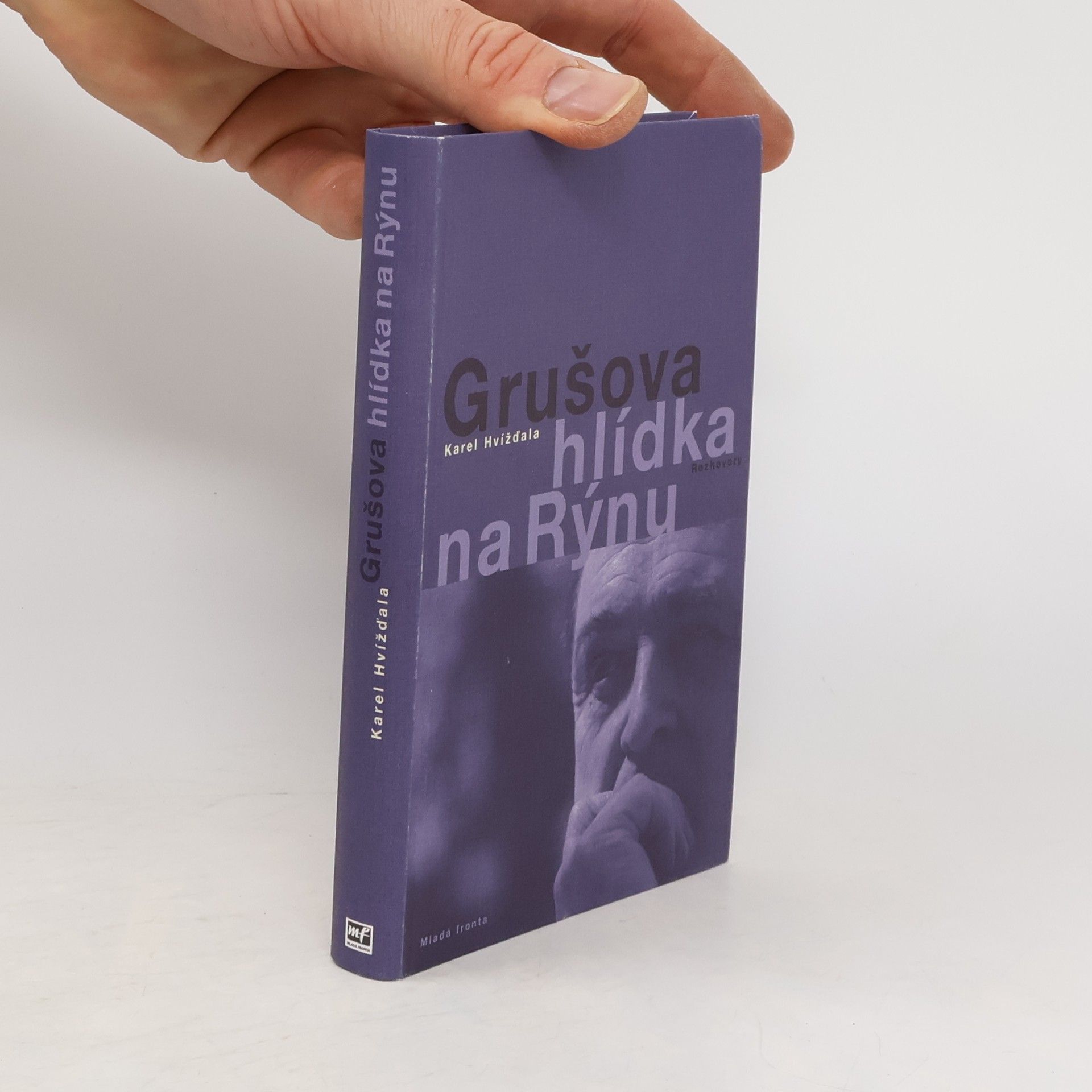 Jiří Gruša Grušova hlídka na Rýnu: Rozhovory z let 1983-2011