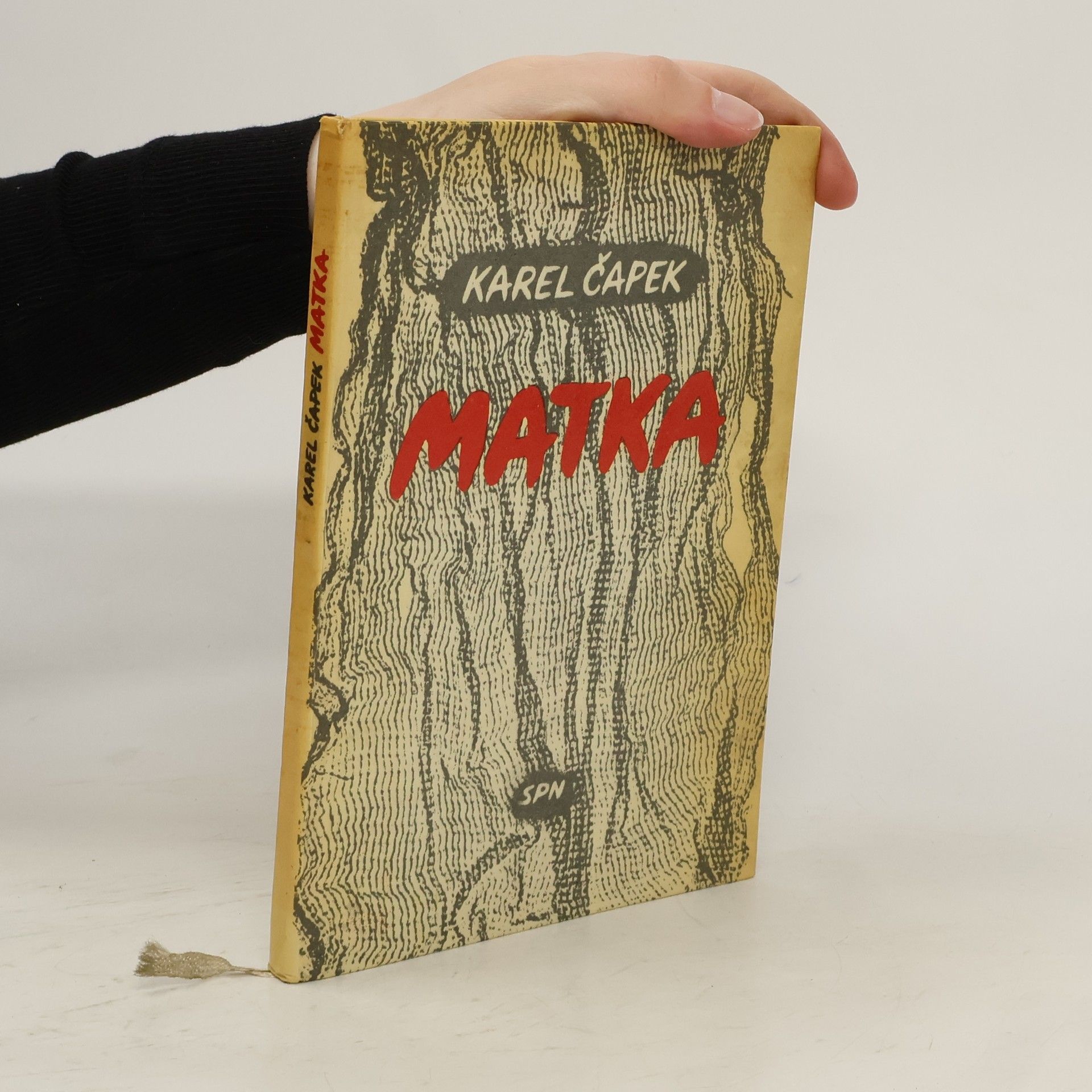 Karel Čapek Matka