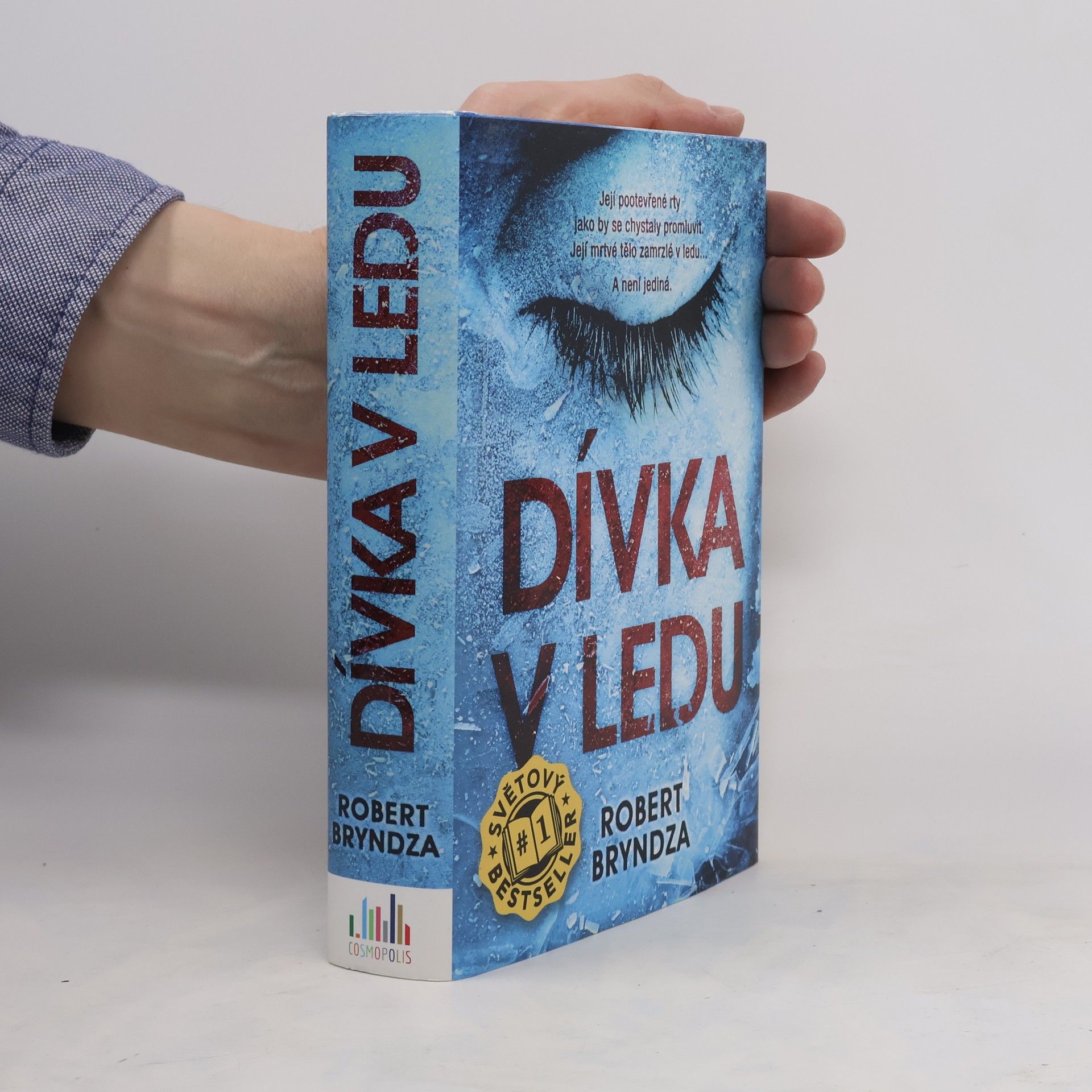 Robert Bryndza Dívka v ledu
