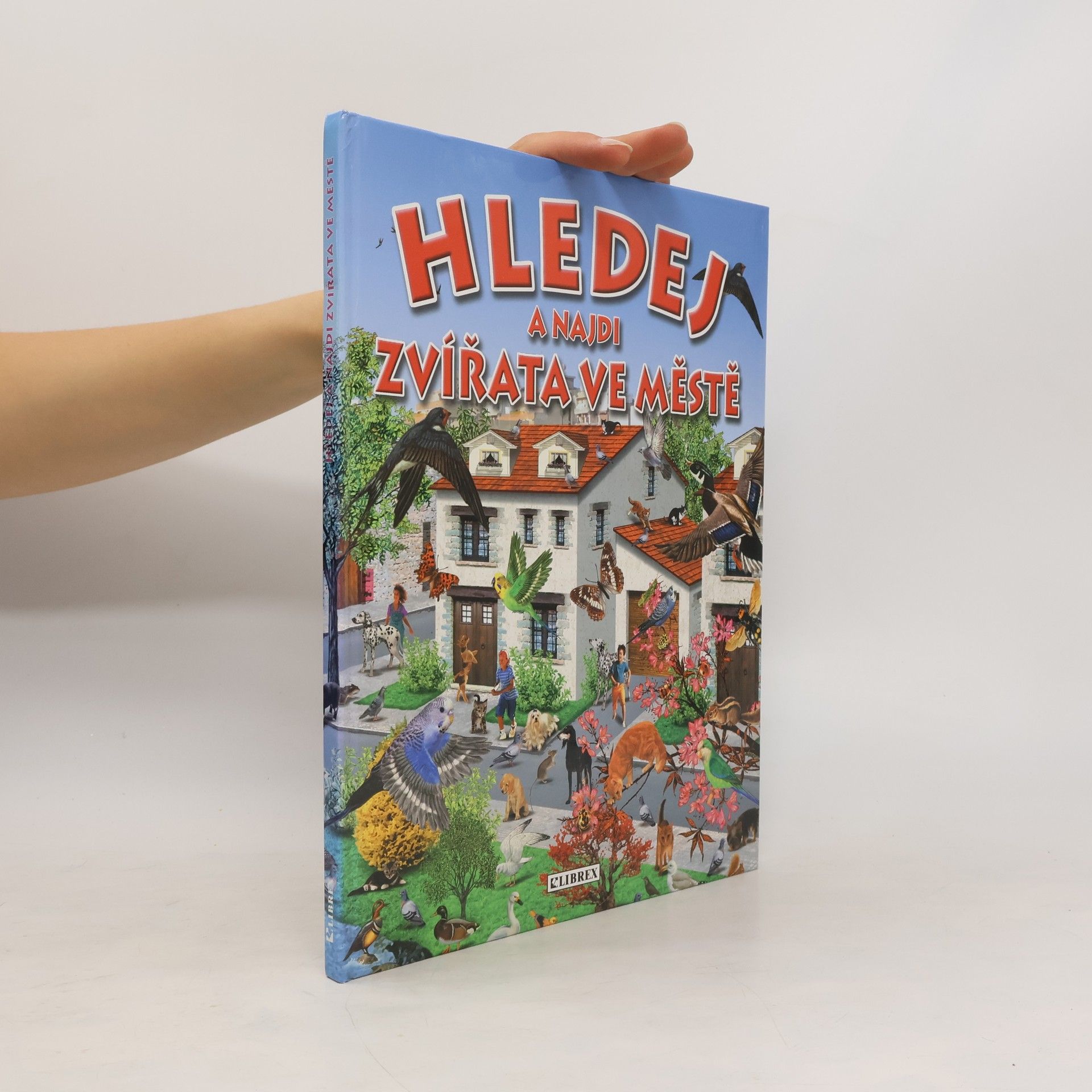 Autorenkollektiv Hledej a najdi zvířata ve městě