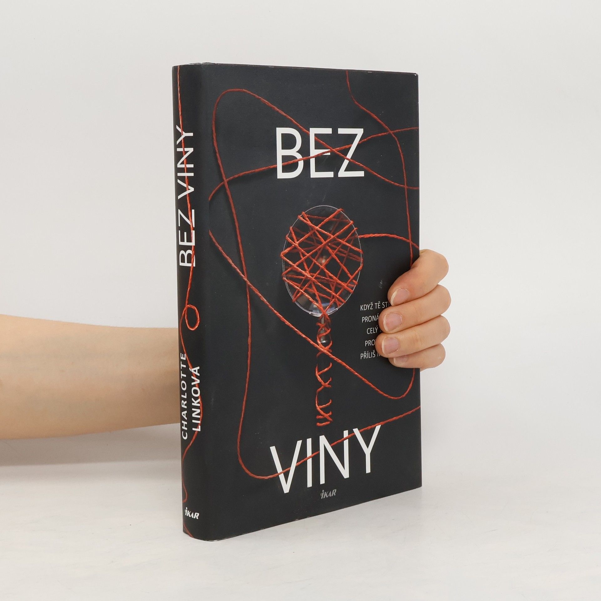 Charlotte Link Bez viny