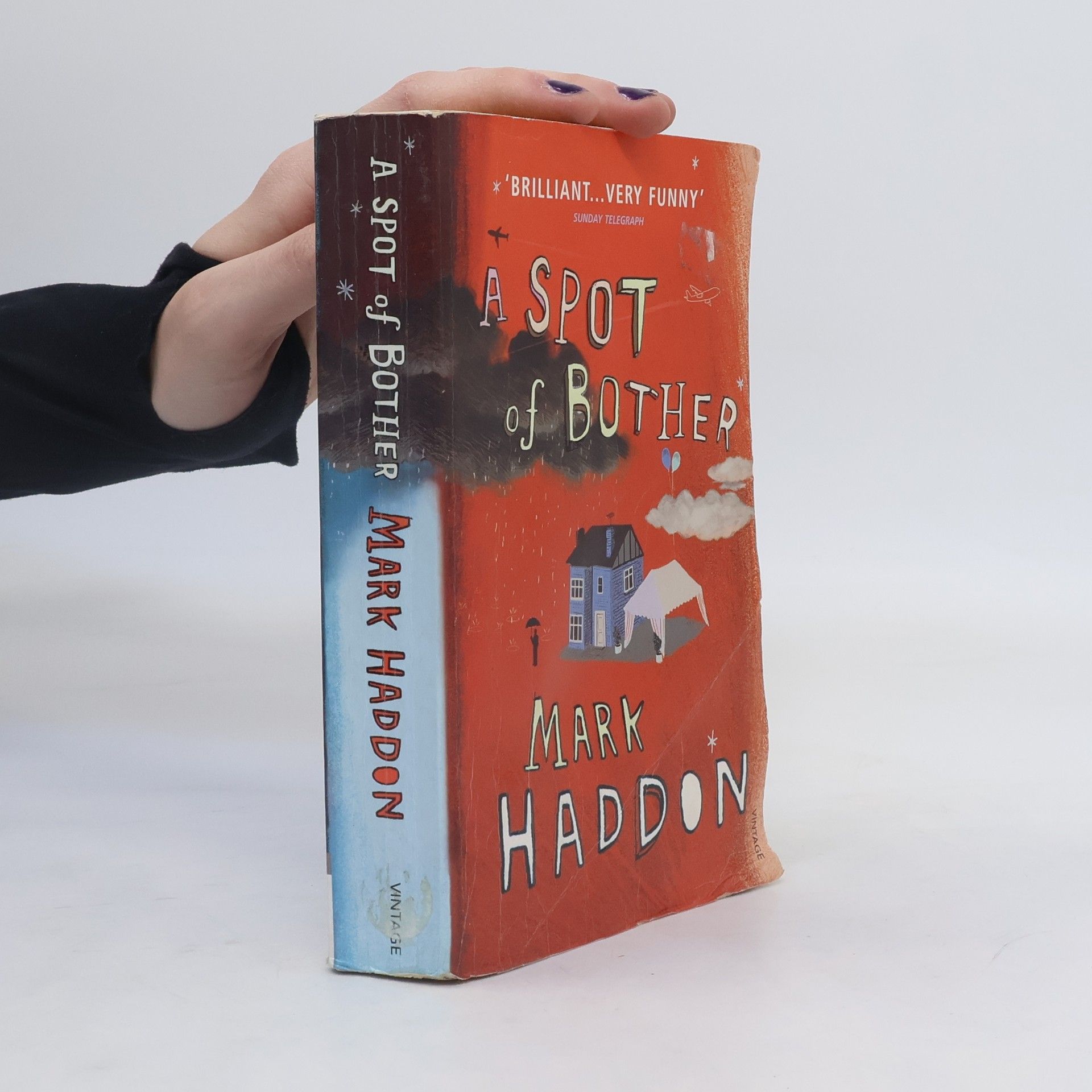 Mark Haddon A spot of bother