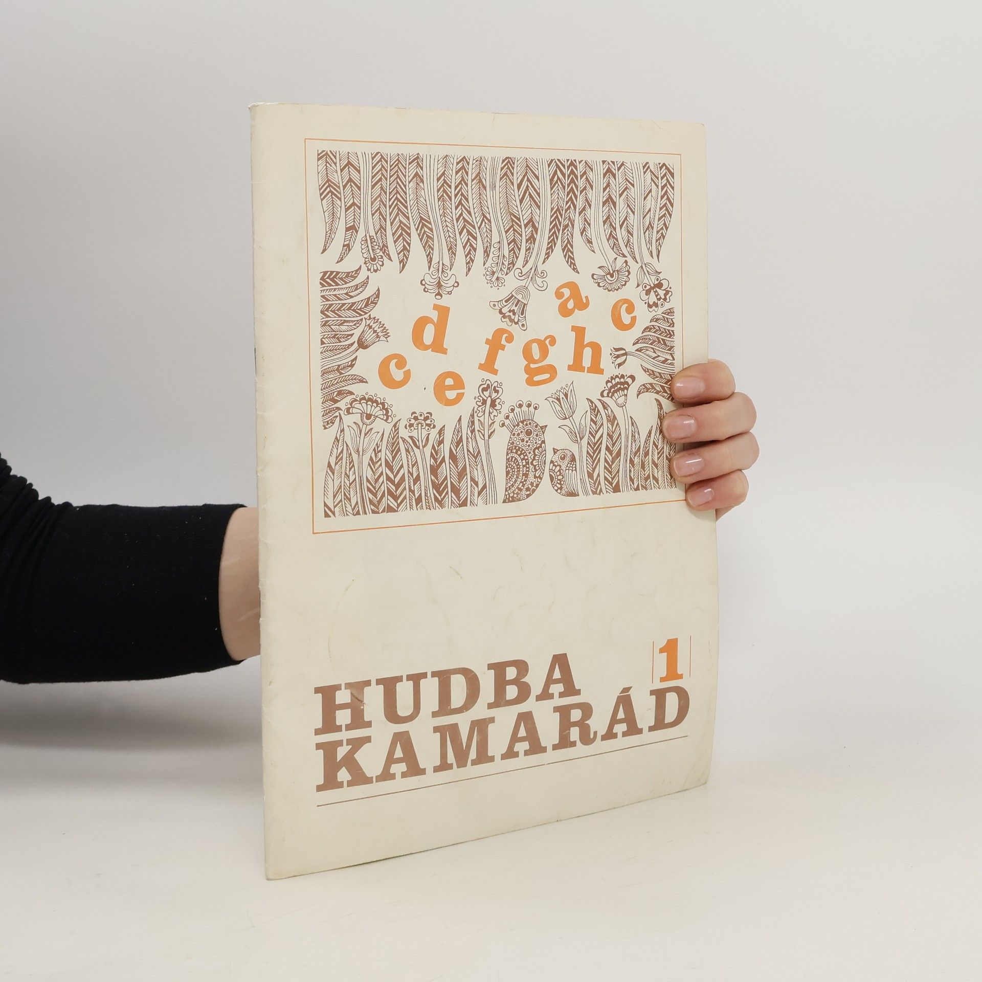 Kolektív autorov Hudba kamarád 1