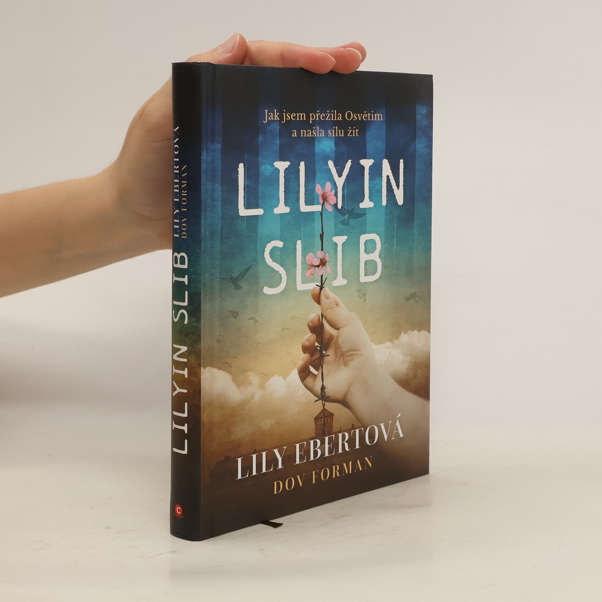 Lily Ebert Lilyin slib