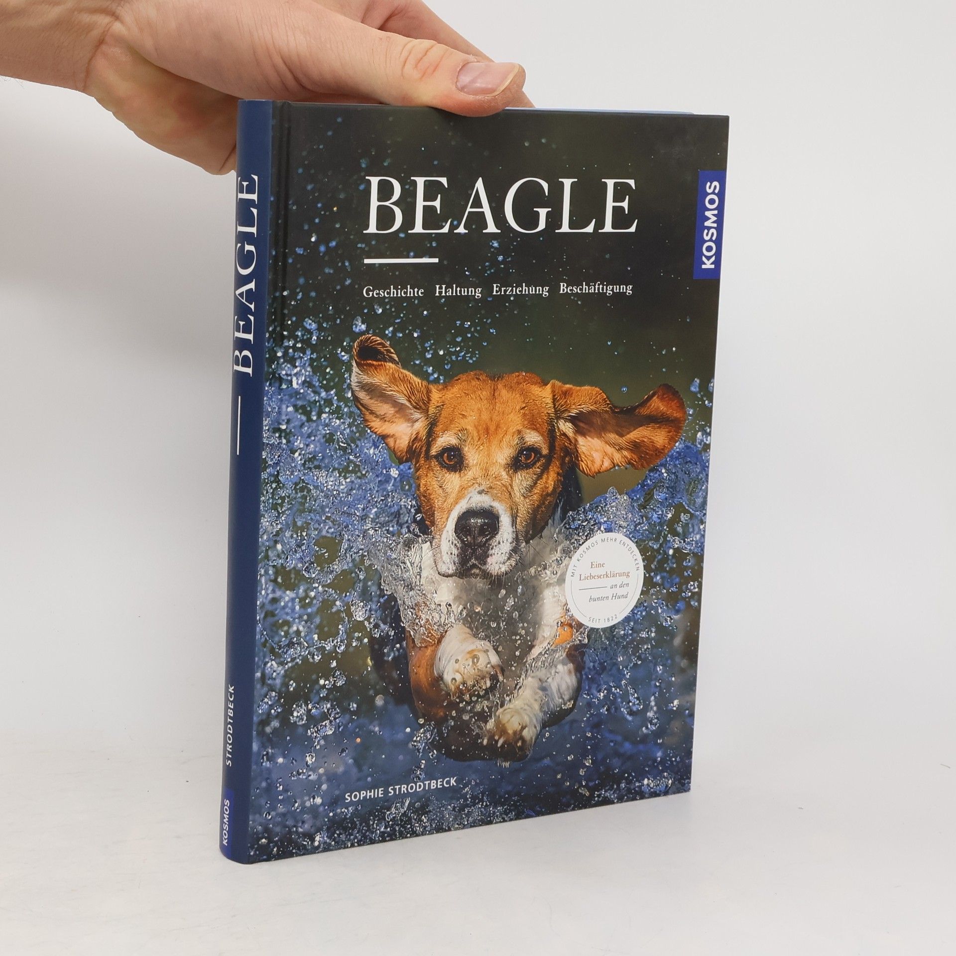 Sophie Strodtbeck Beagle