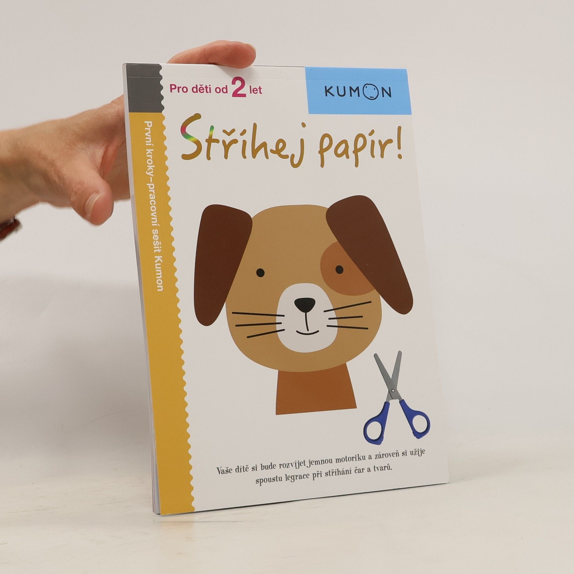 Kateřina Čedíková Stříhej papír! Pracovní sešit Kumon