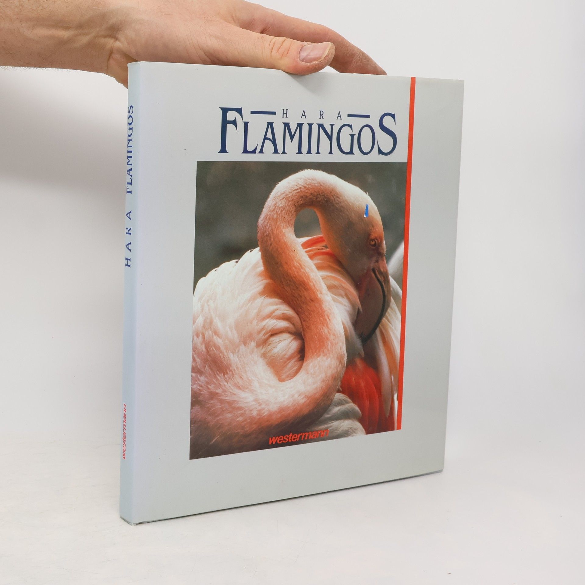 Hara Flamingos