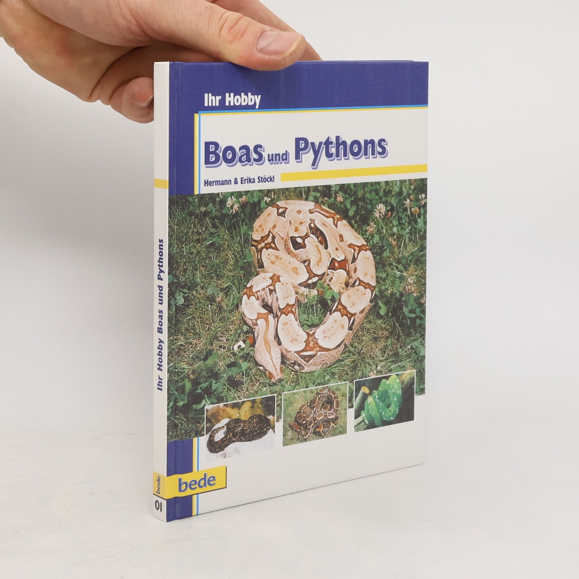 Hermann Stöckl Boas und Pythons
