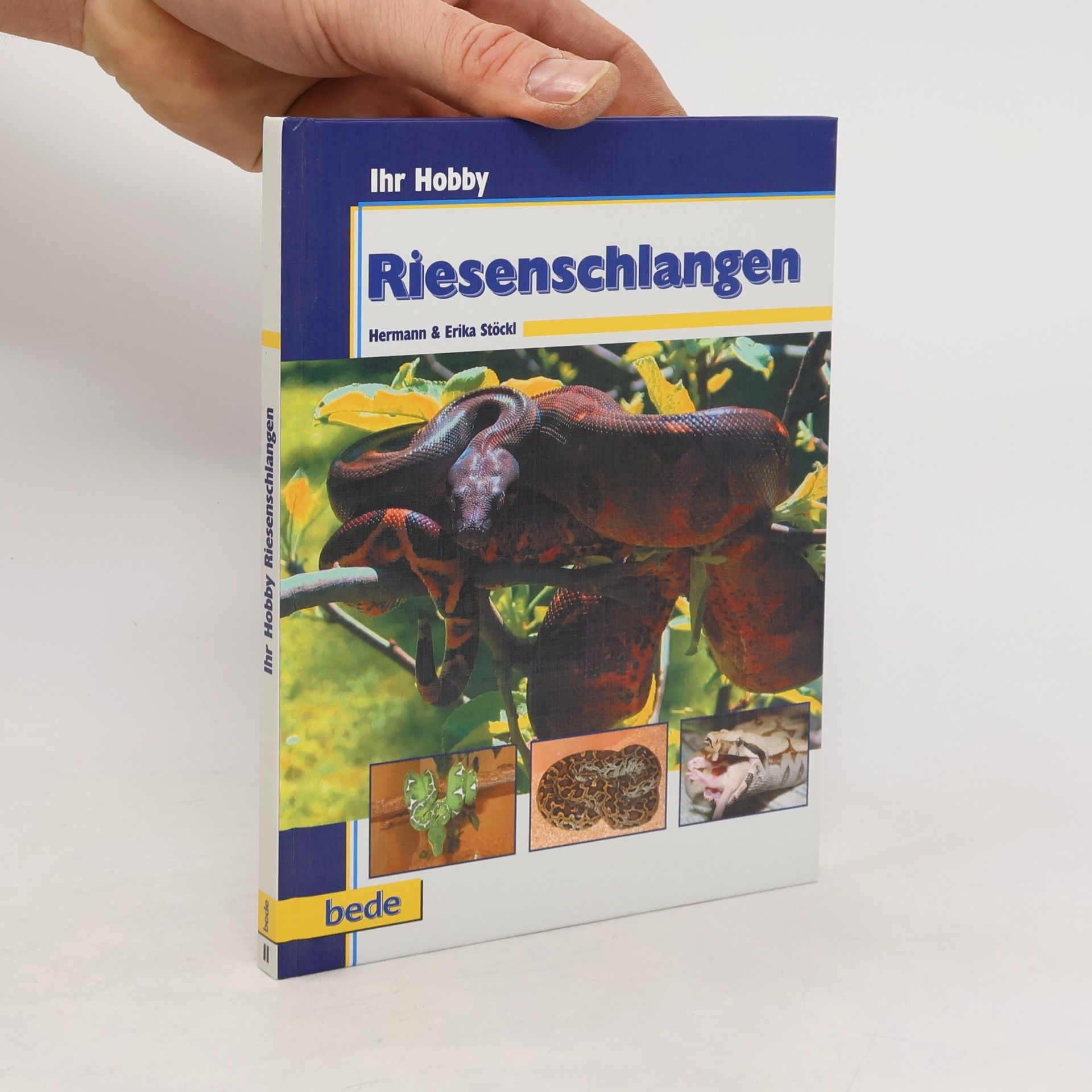Hermann Stöckl Riesenschlangen