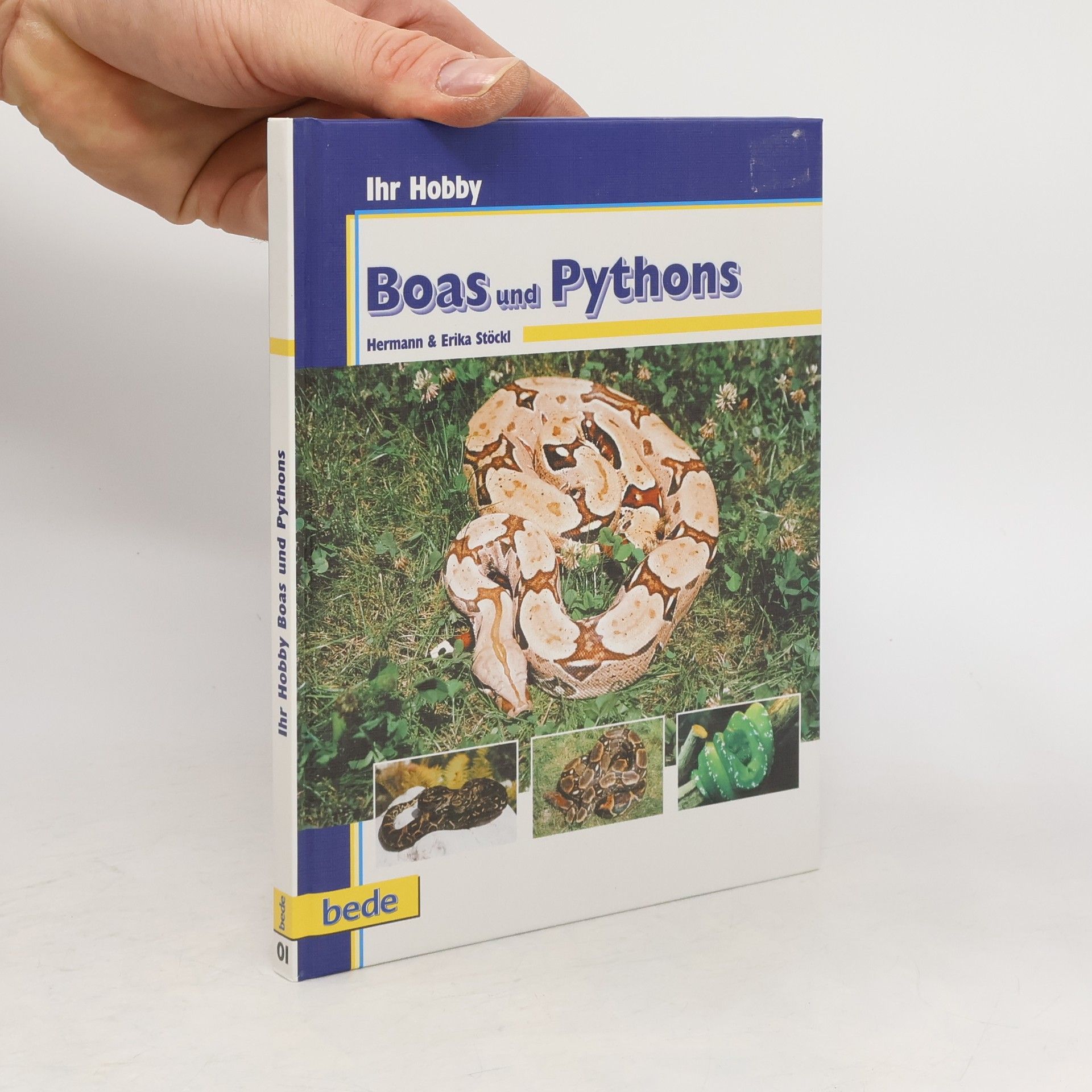 Hermann Stöckl Boas und Pythons