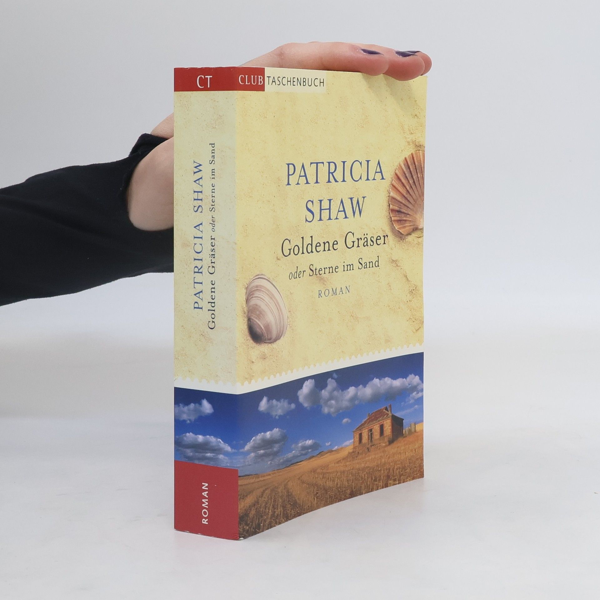 Patricia Shaw Goldene Gräser oder Sterne im Sand