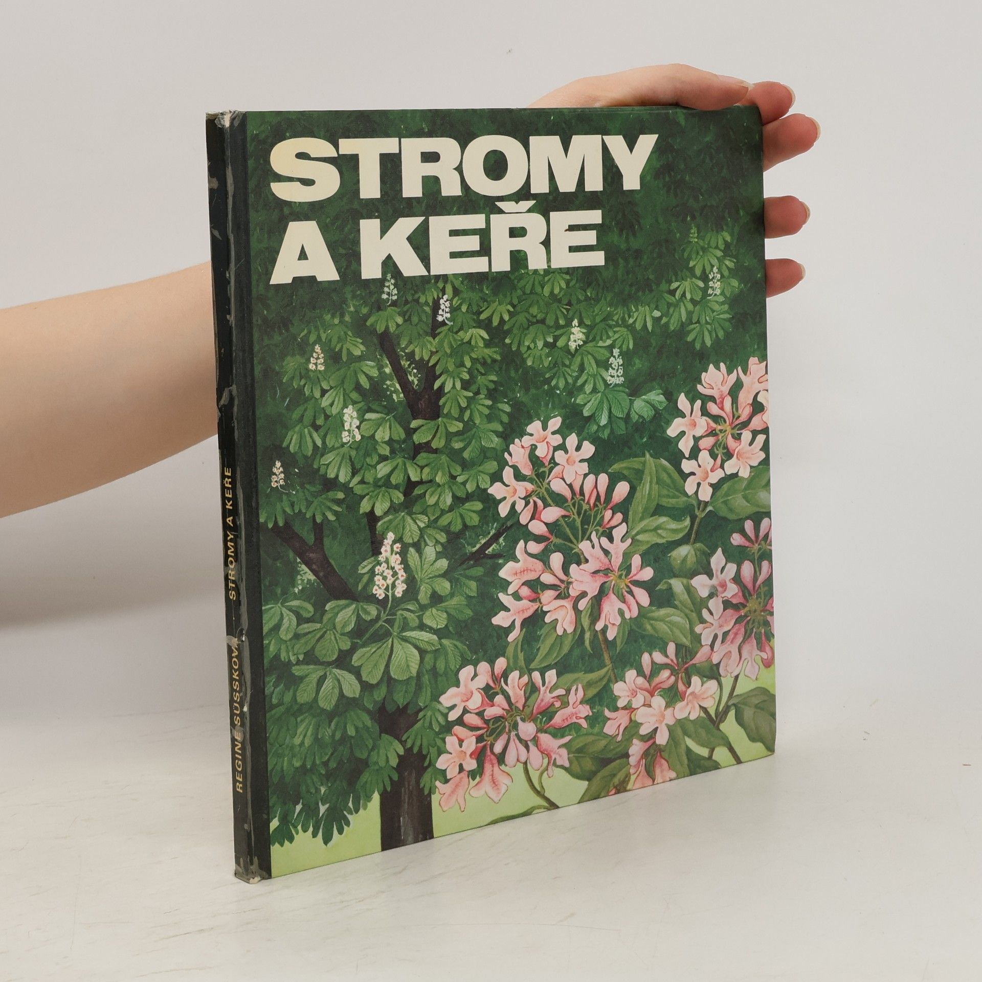Regine Süssk Stromy a keře